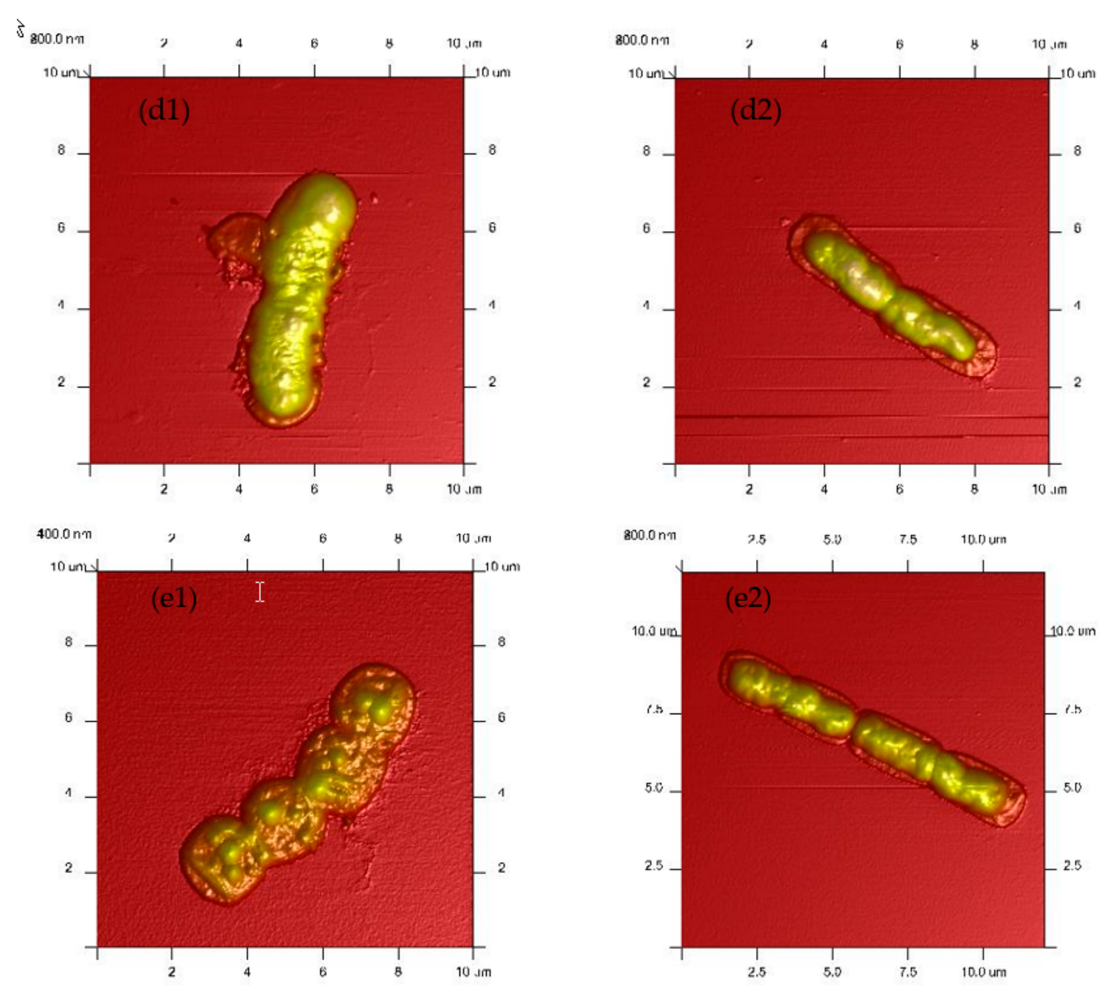 Processes 07 00358 g002b