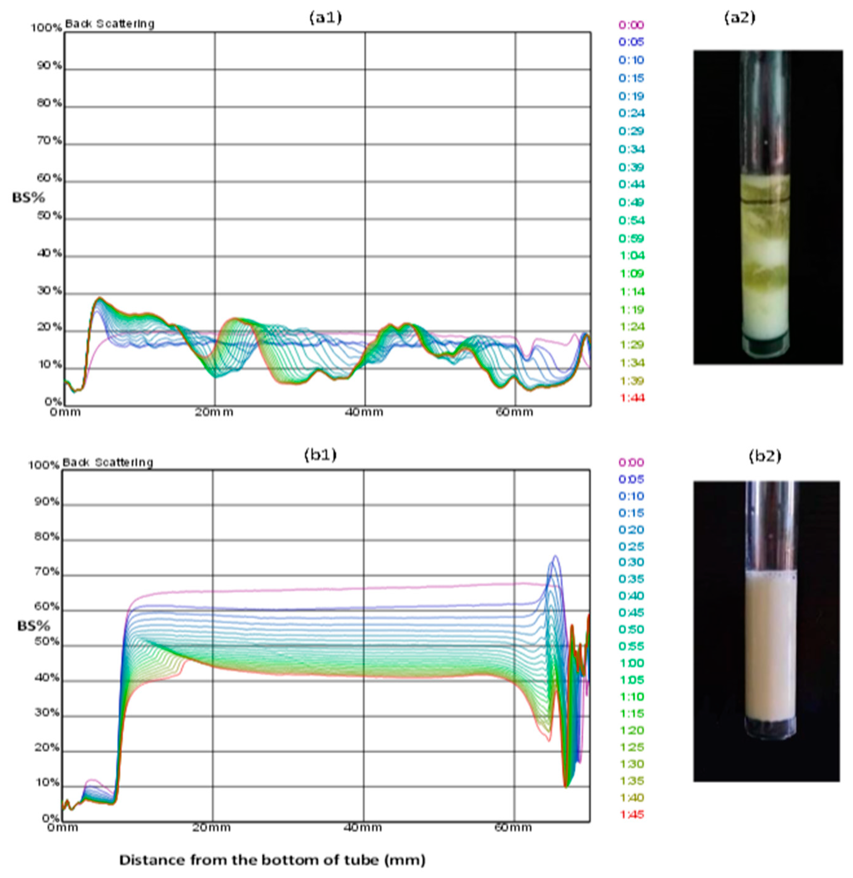 Processes 07 00365 g003 Processes 07 00365 g003