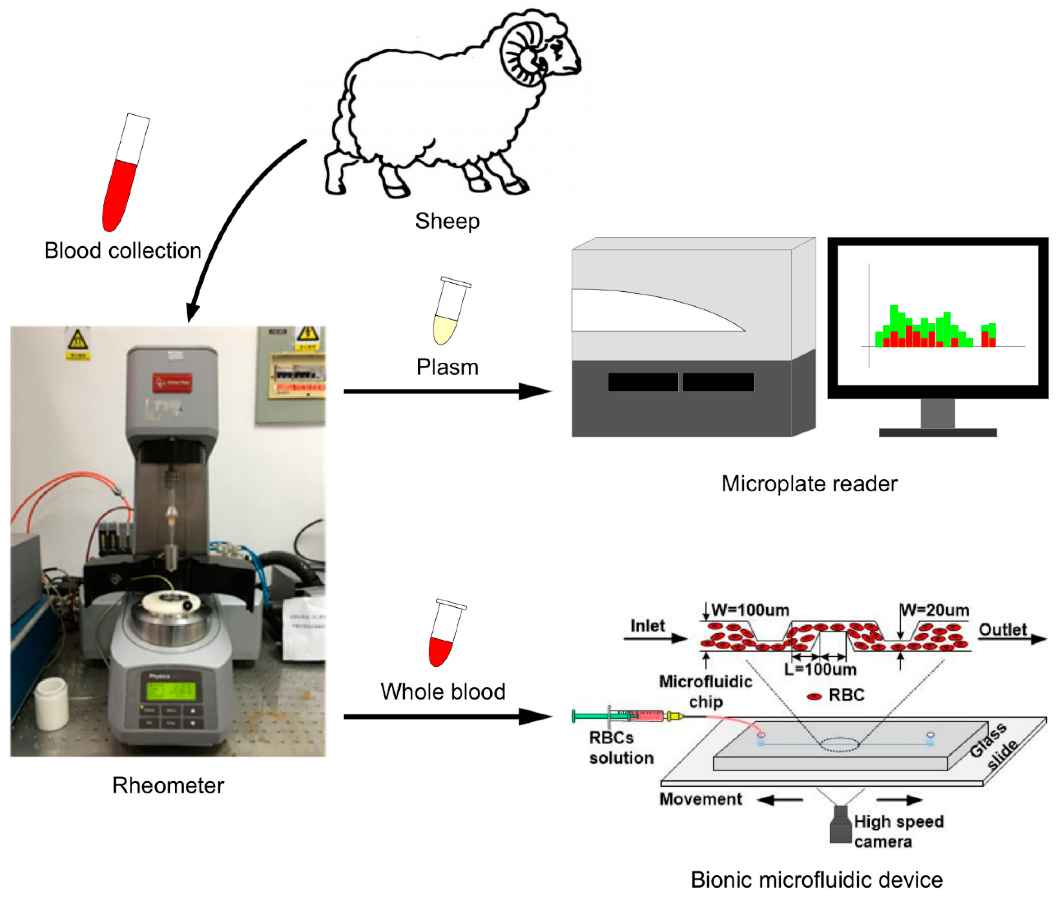 Processes 07 00372 g001