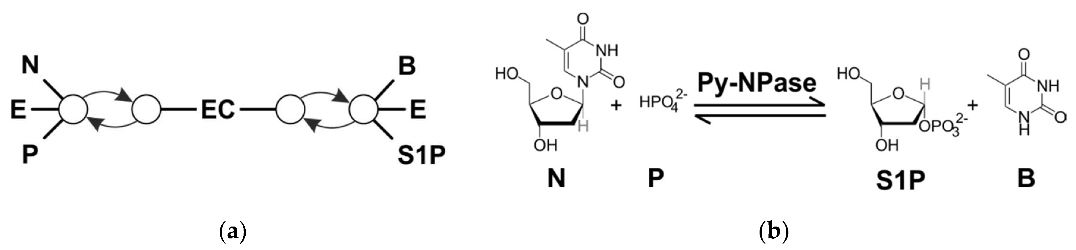 Processes 07 00380 g001