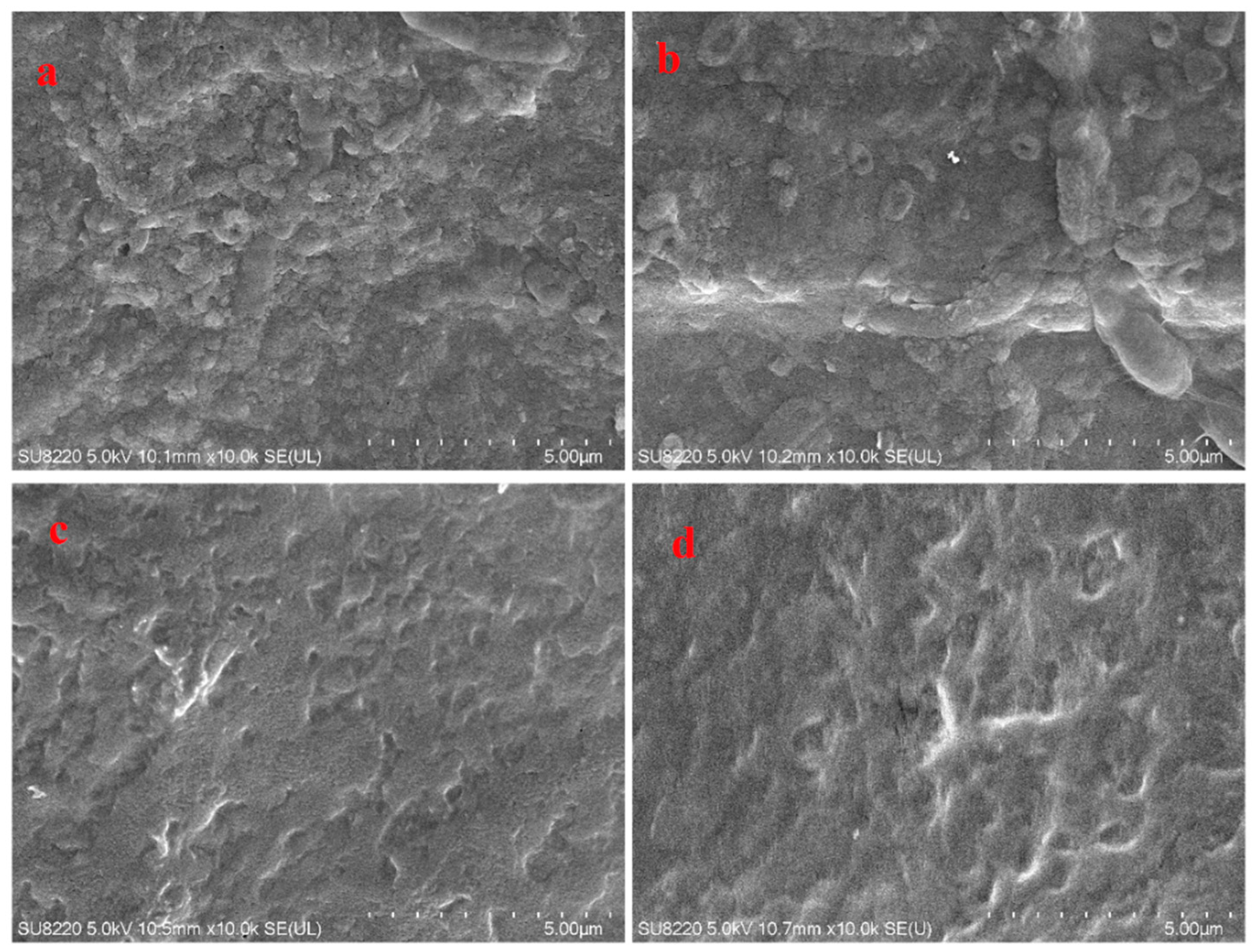 Processes 07 00482 g005 Processes 07 00482 g005