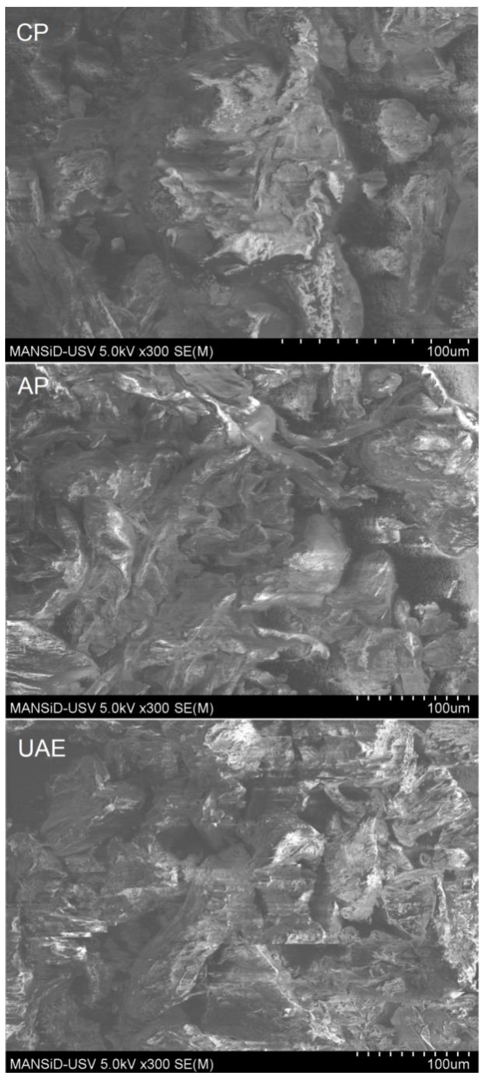 Processes 07 00488 g007