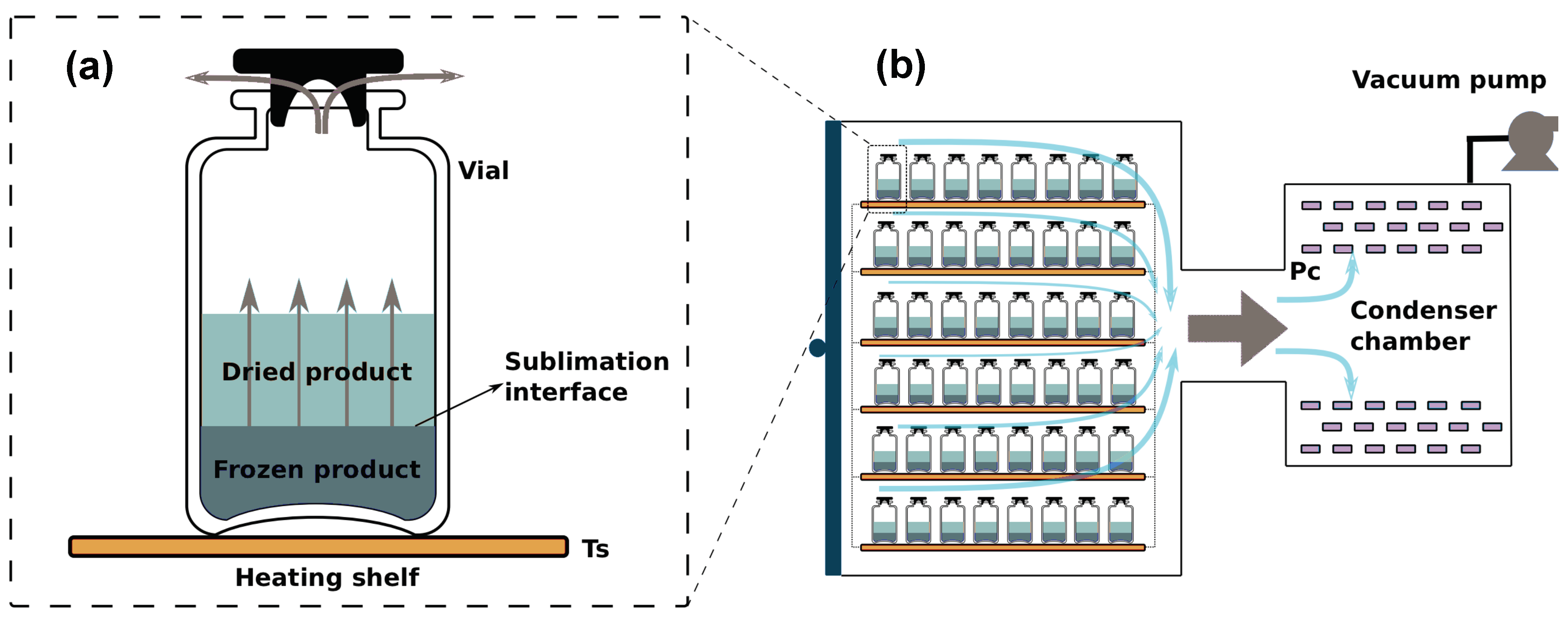 Processes 07 00509 g003