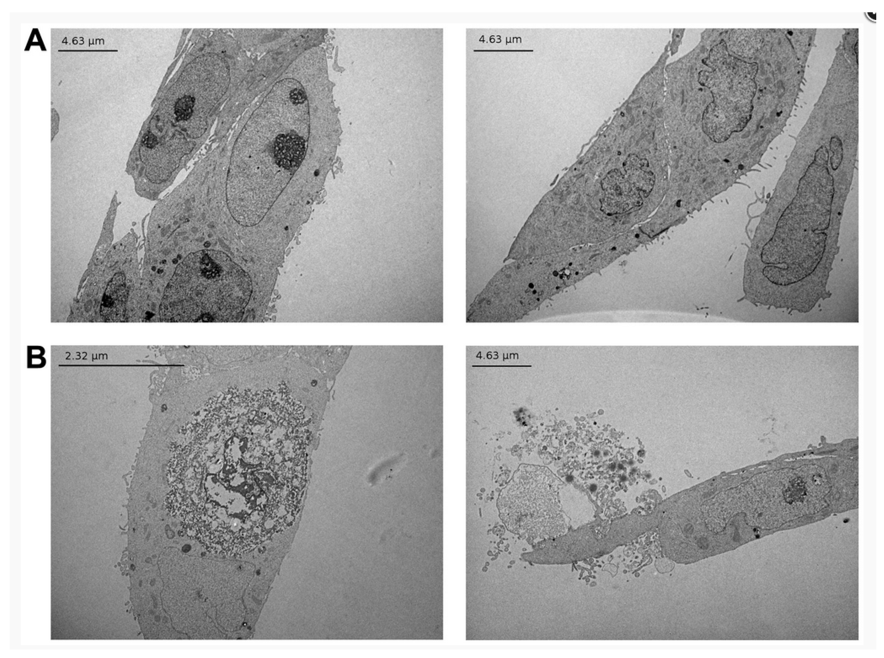 Processes 07 00513 g003