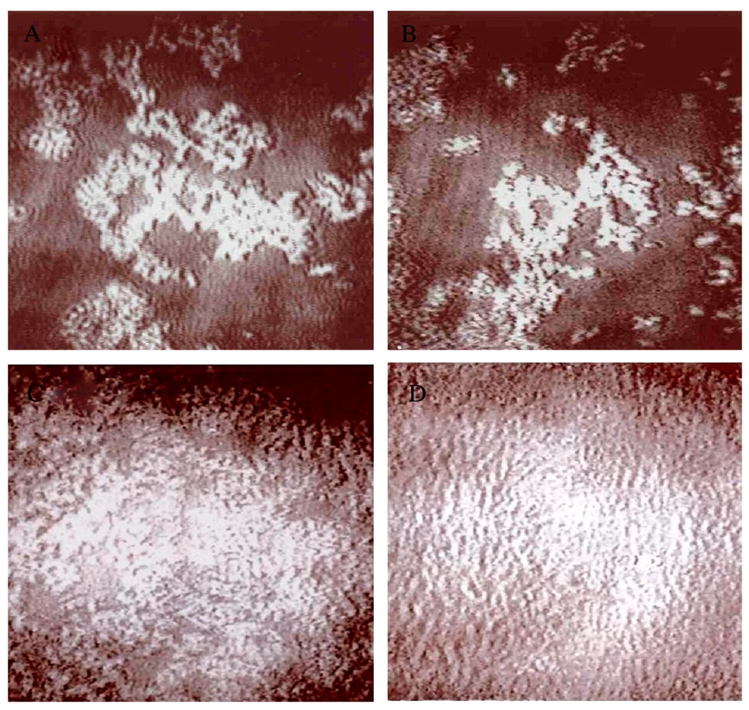 Processes 07 00513 g006