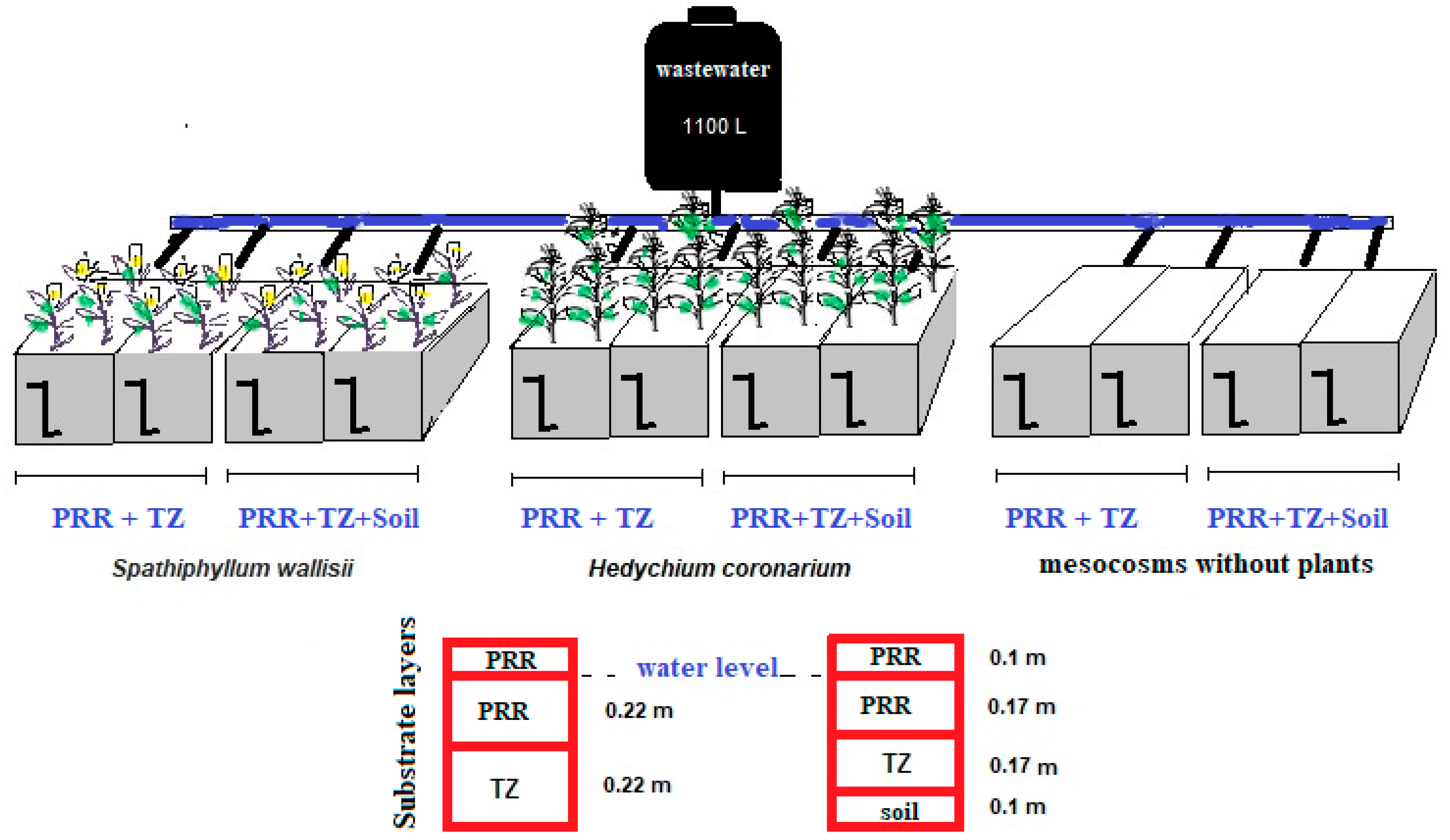 Processes 07 00531 g001