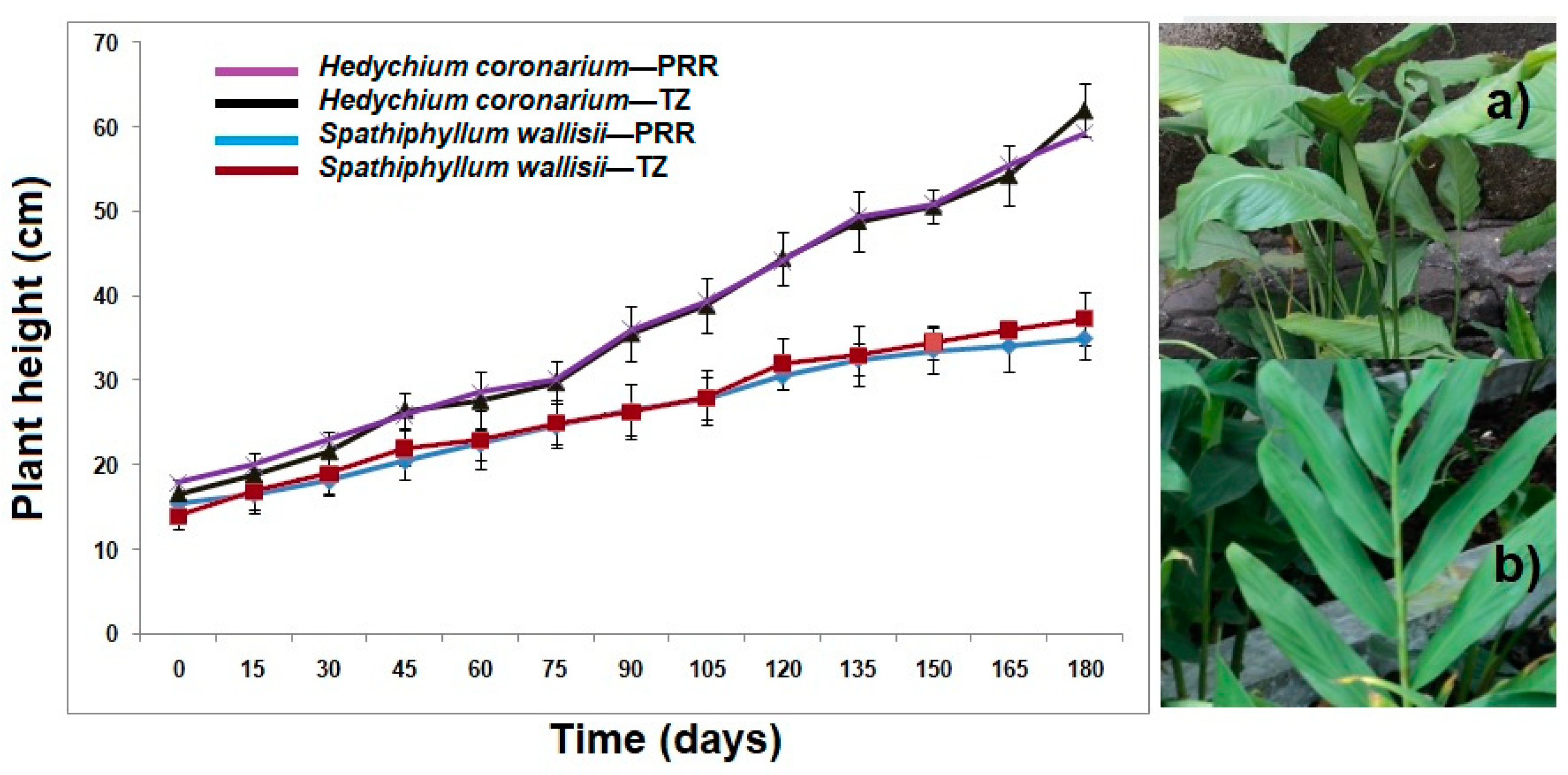 Processes 07 00531 g003