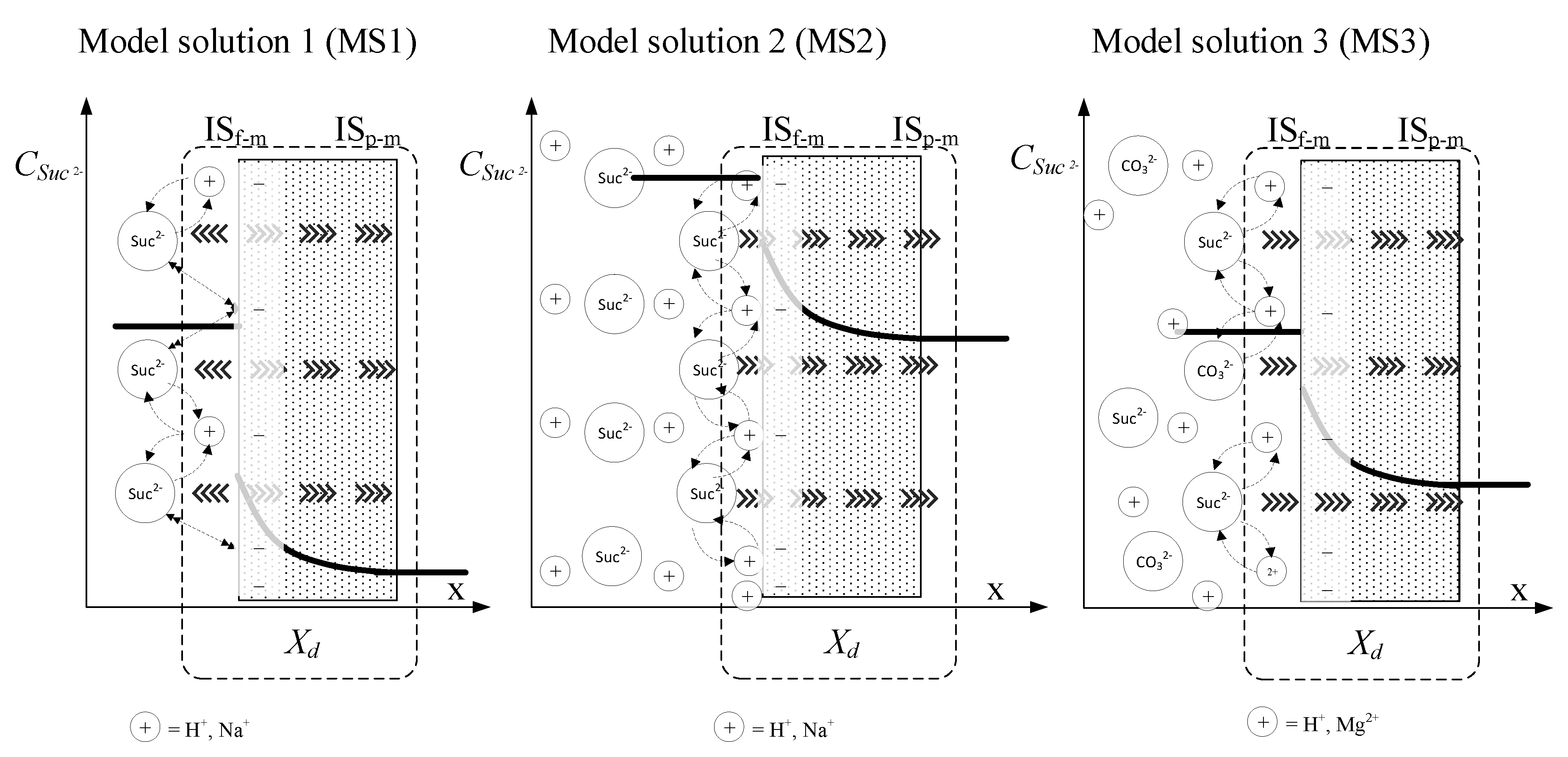 Processes 07 00559 g007