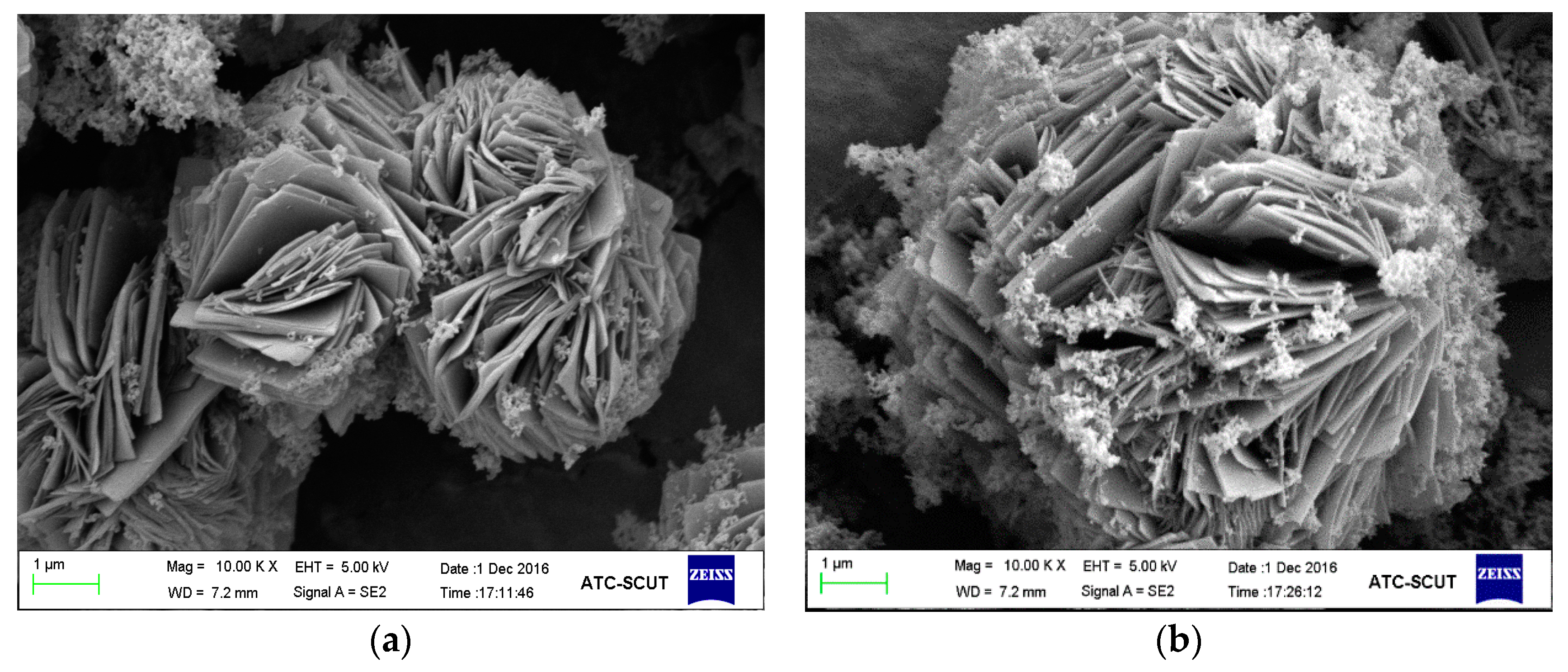 Processes 07 00565 g004