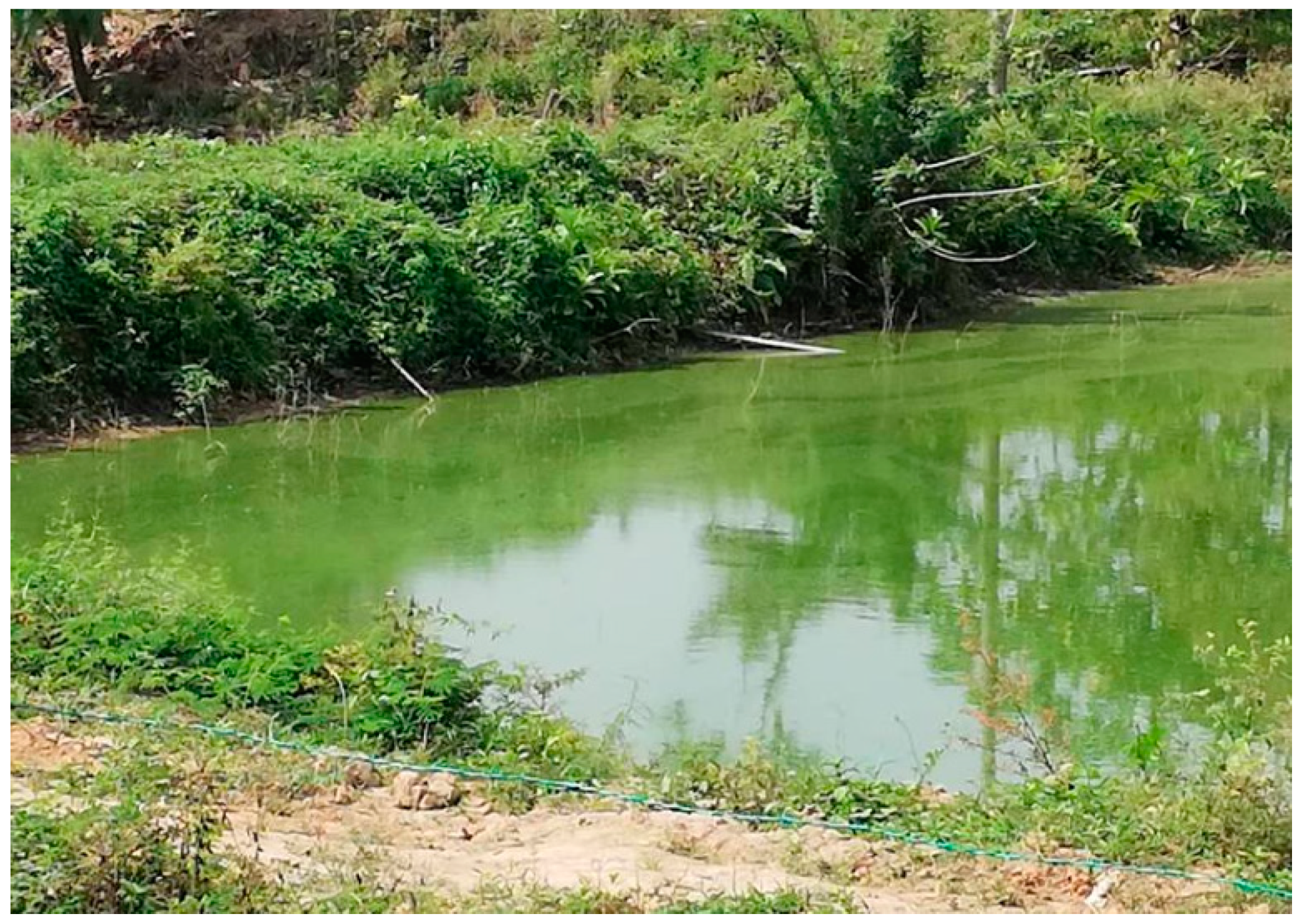 Processes 07 00572 g001