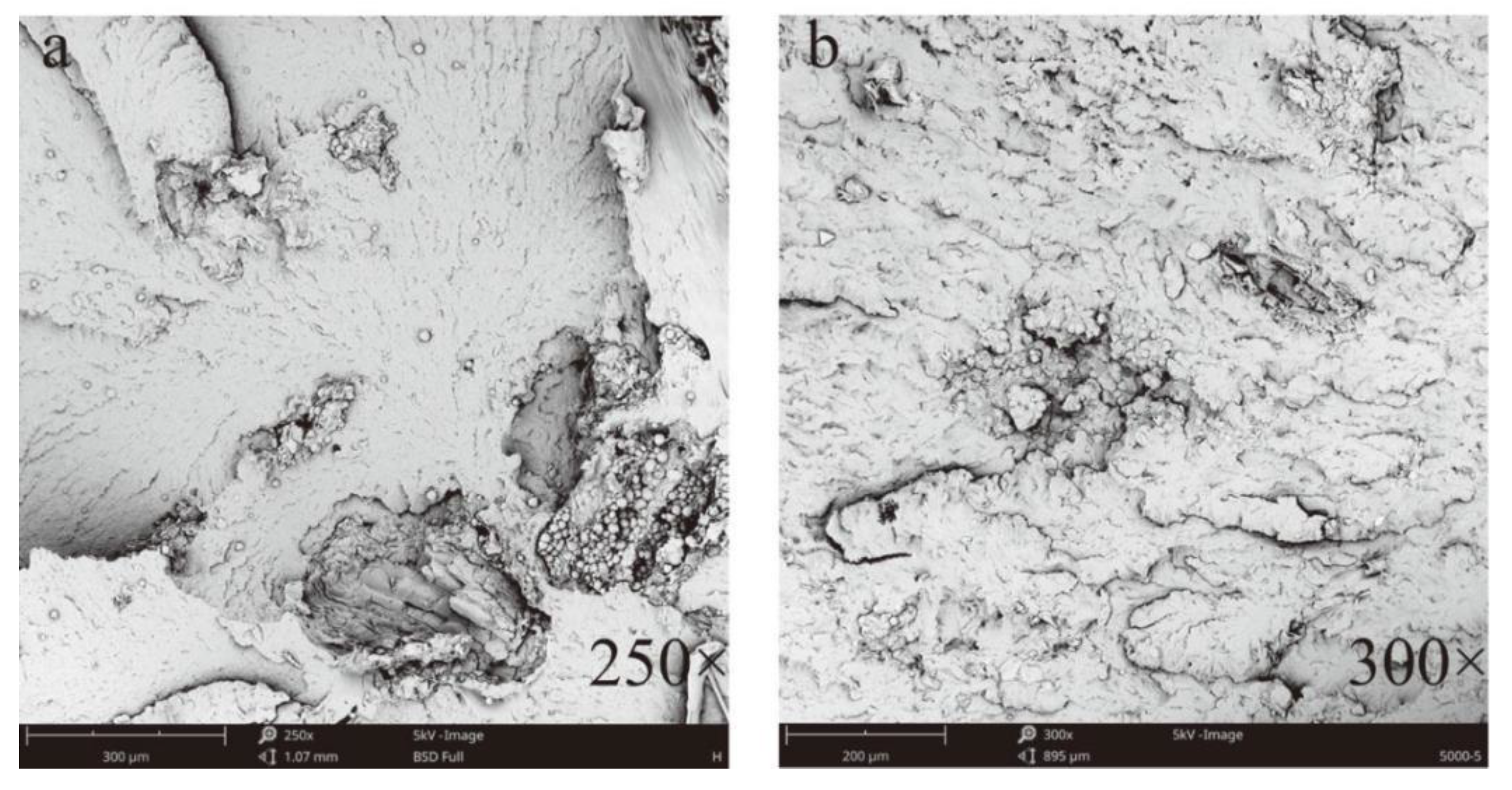 Processes 07 00588 g006