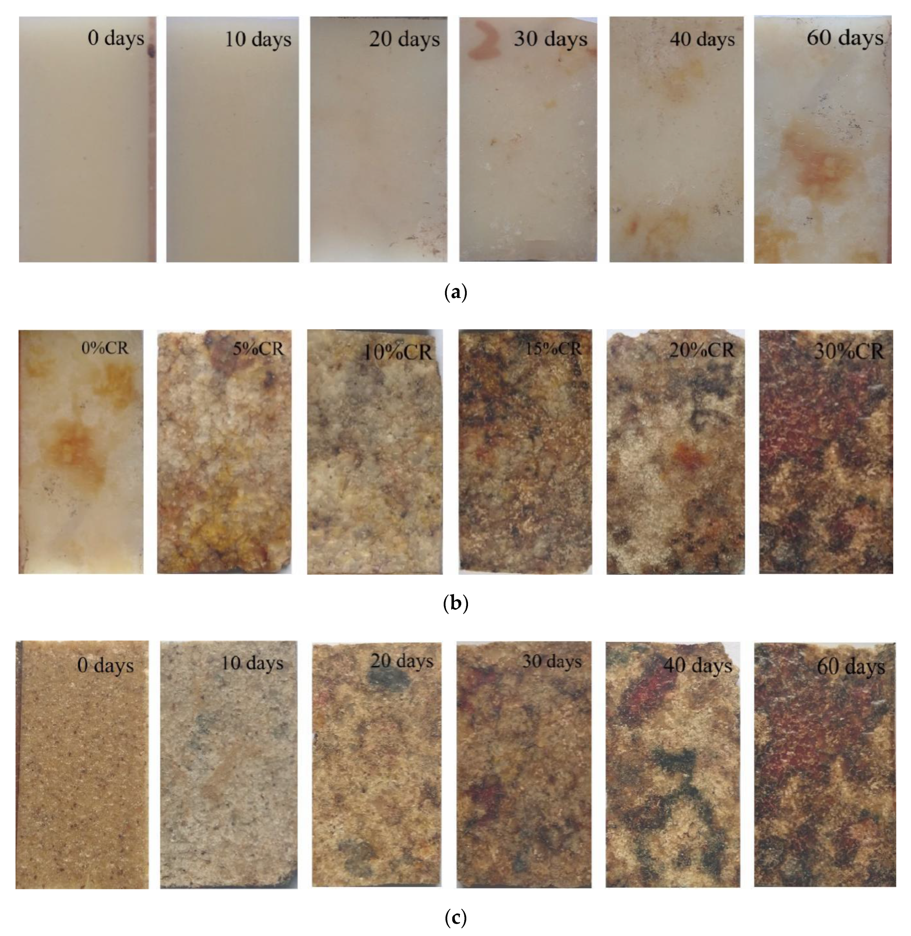 Processes 07 00588 g007