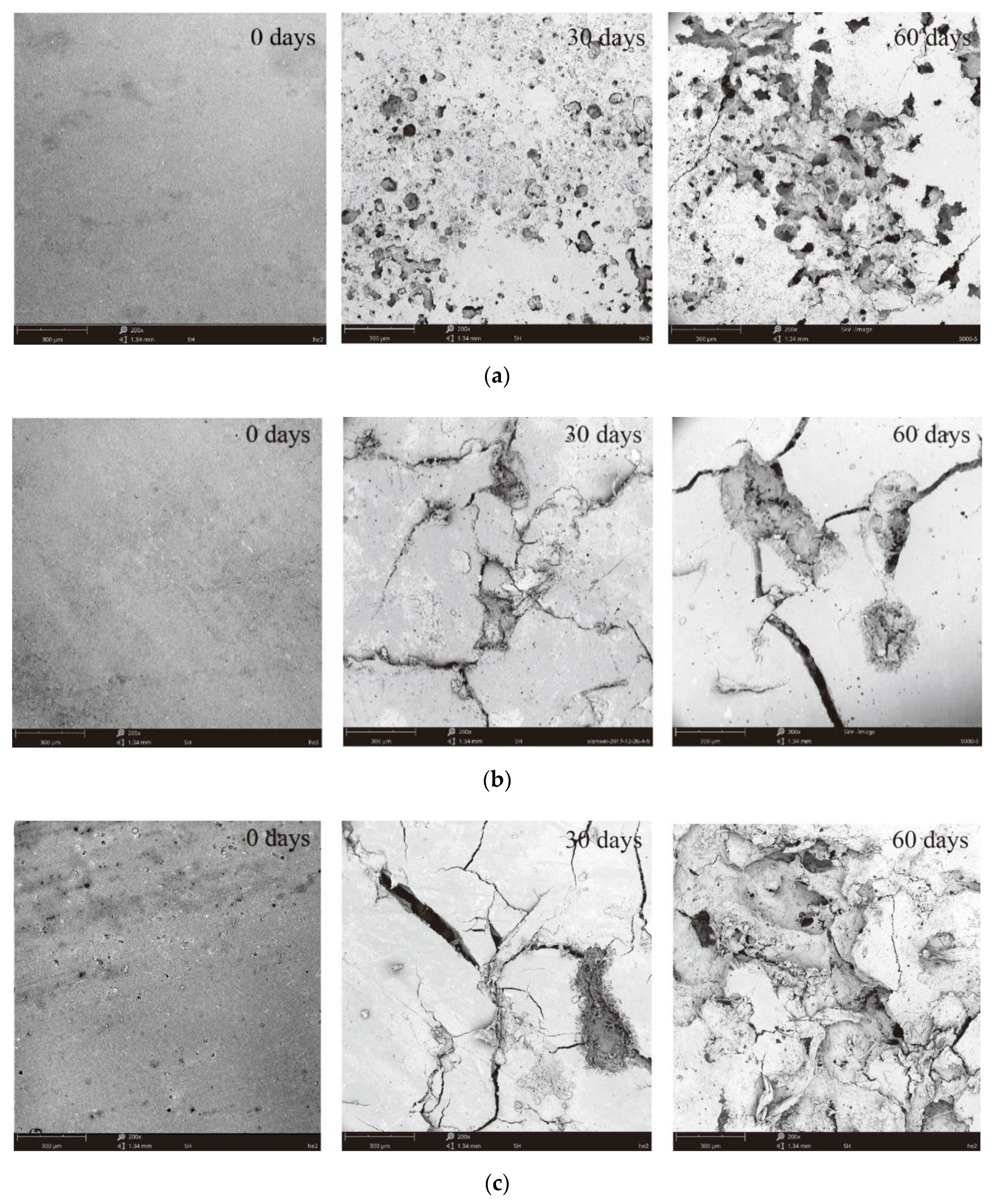 Processes 07 00588 g010