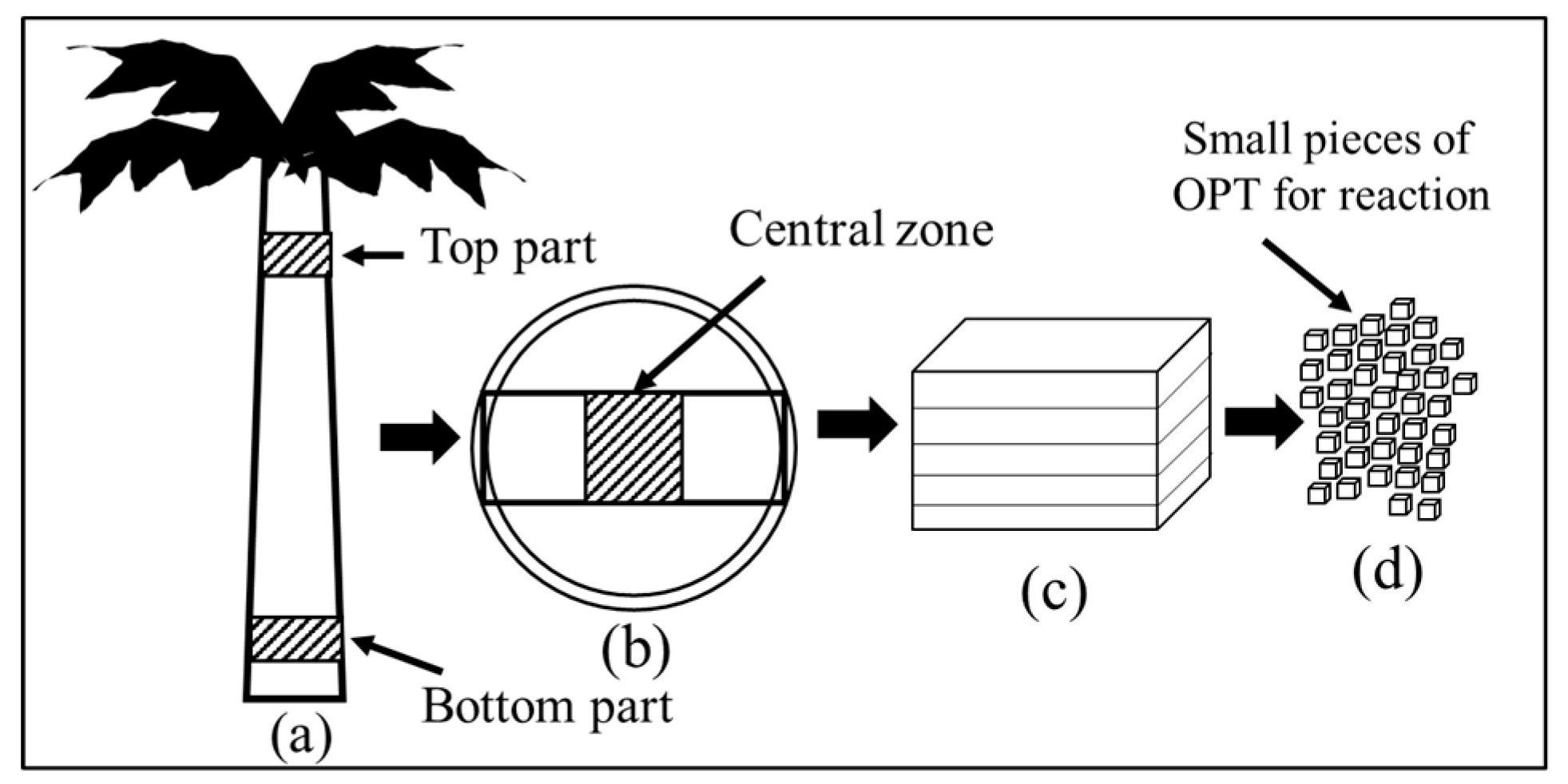 Processes 07 00593 g002