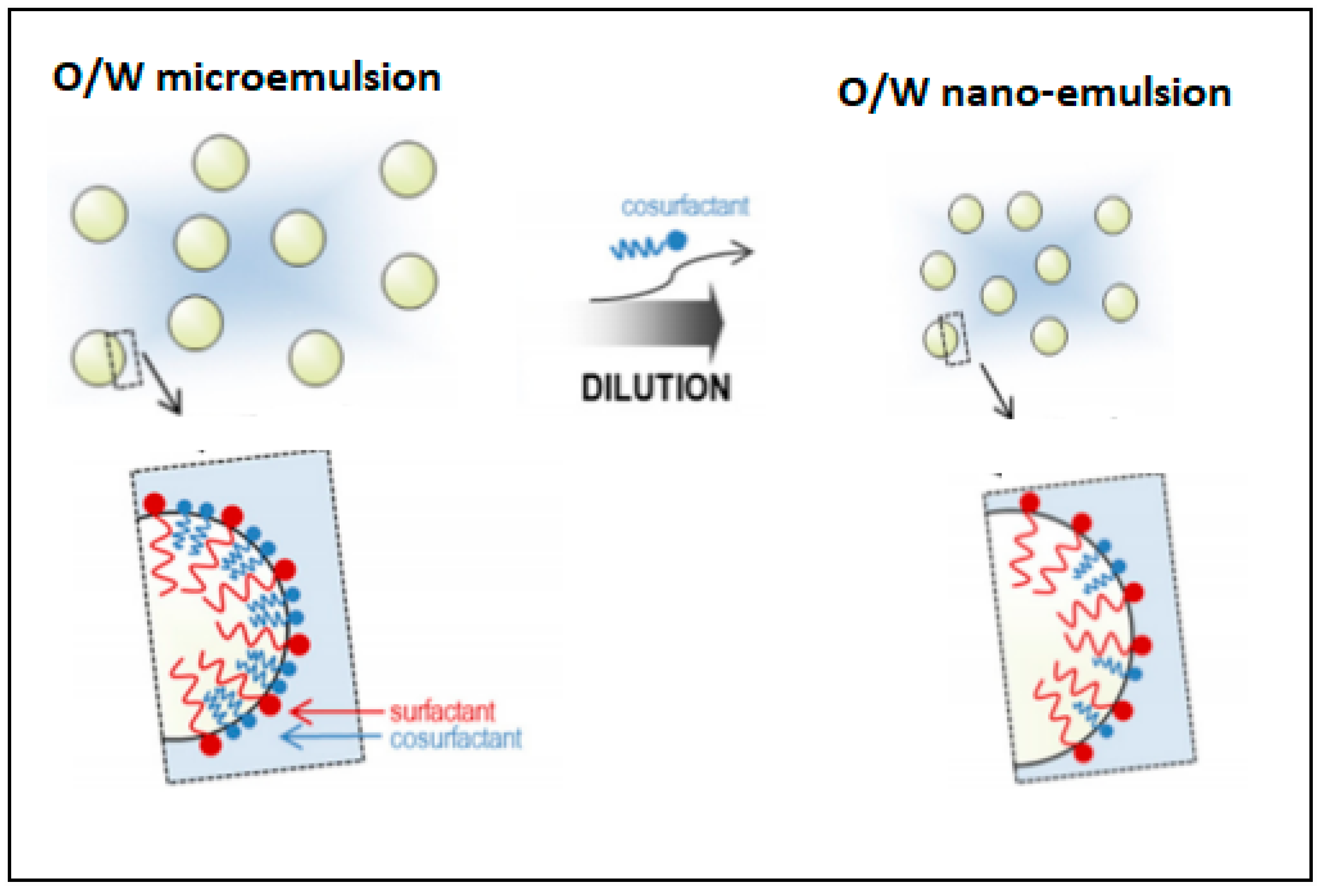 Processes 07 00617 g005