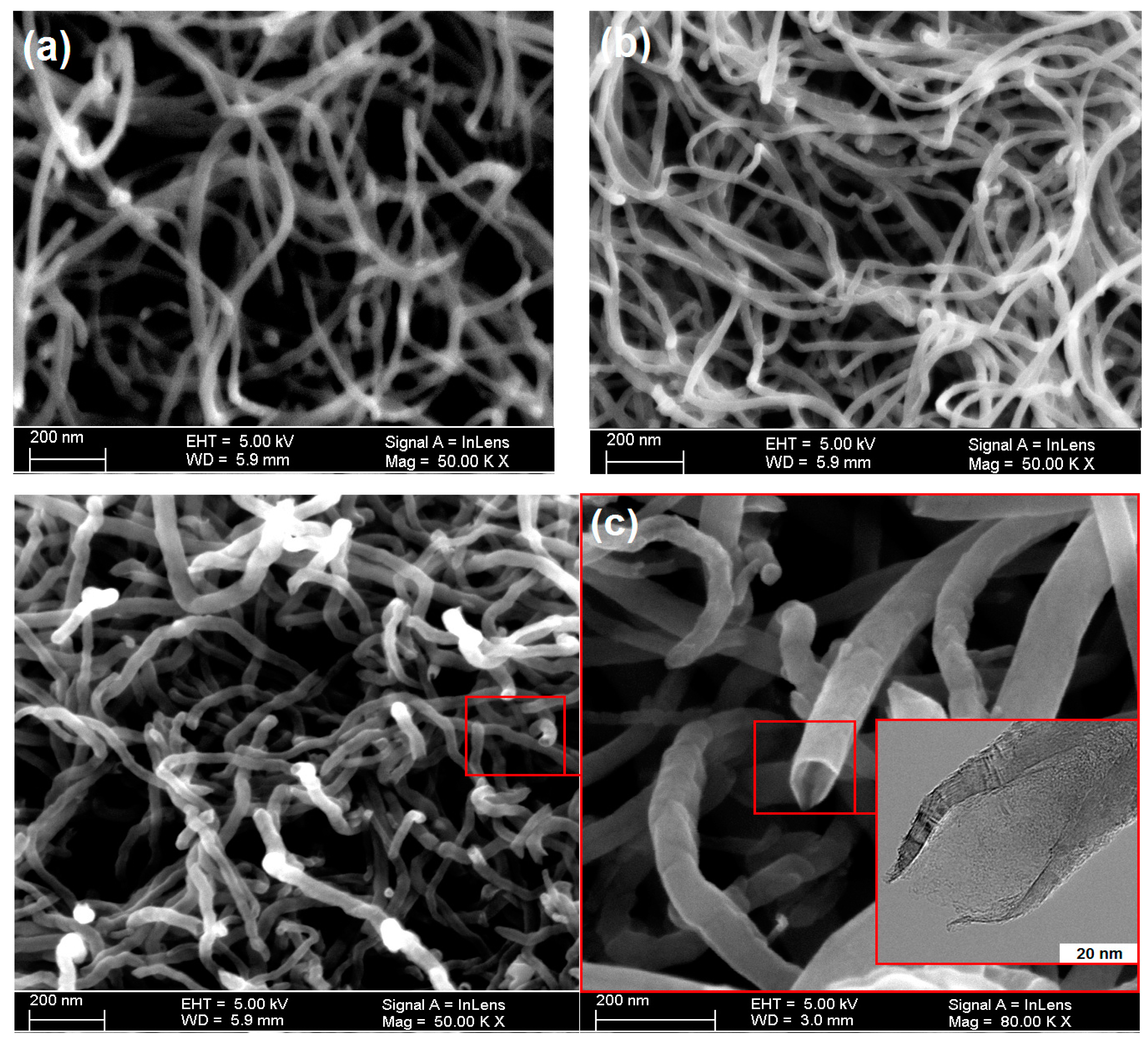 Processes 07 00634 g006