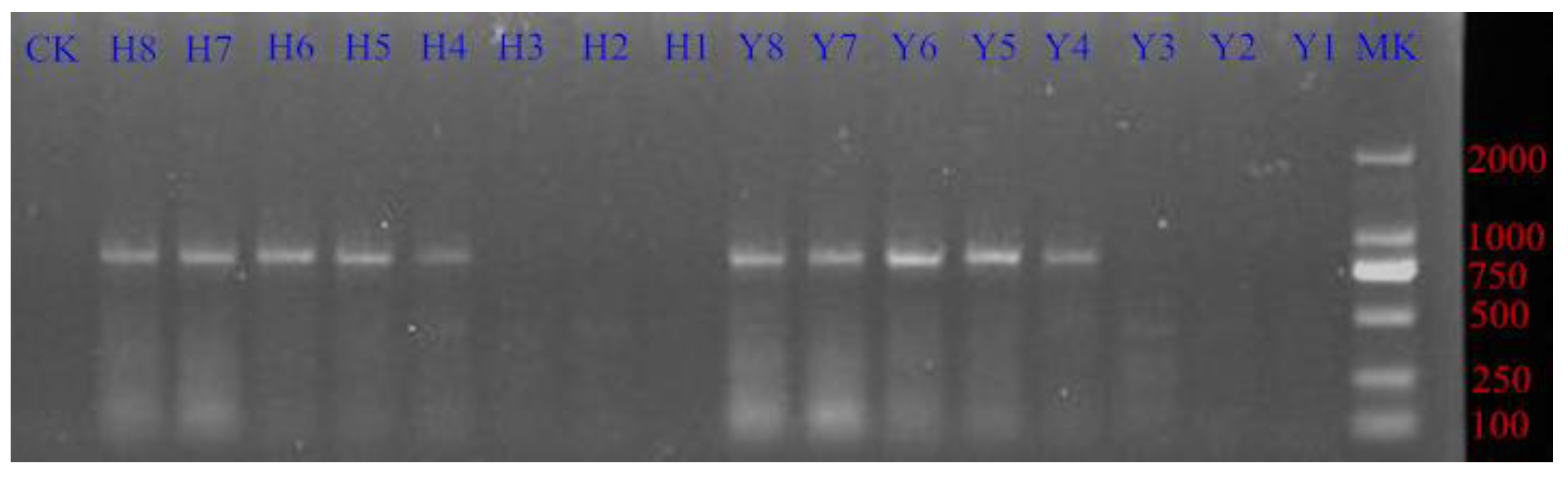 Processes 07 00717 g008