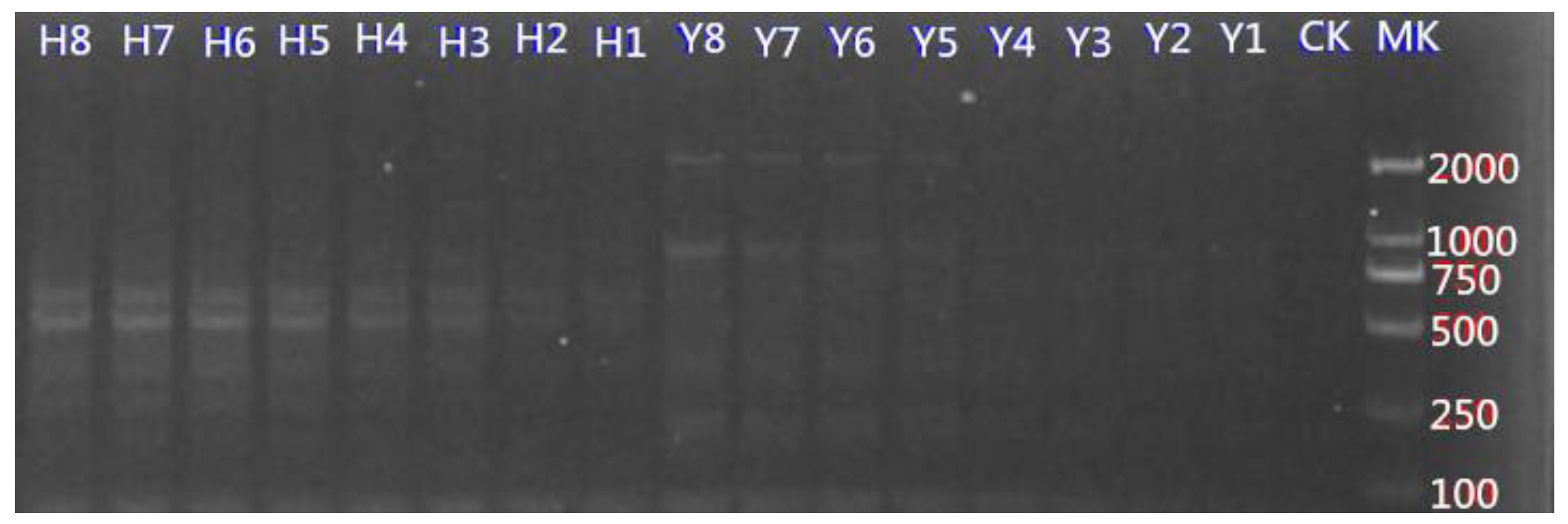 Processes 07 00717 g009