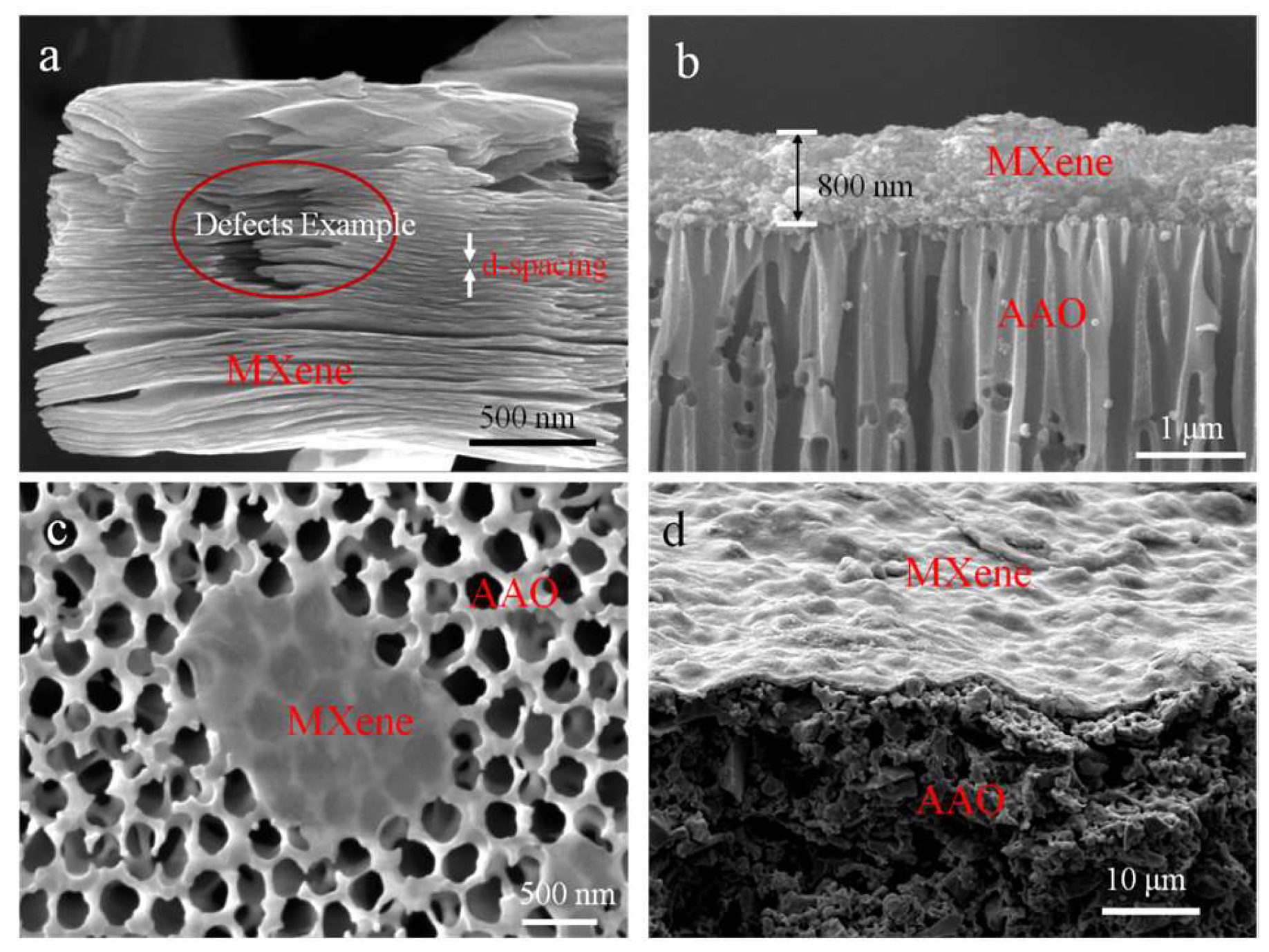 Processes 07 00751 g002
