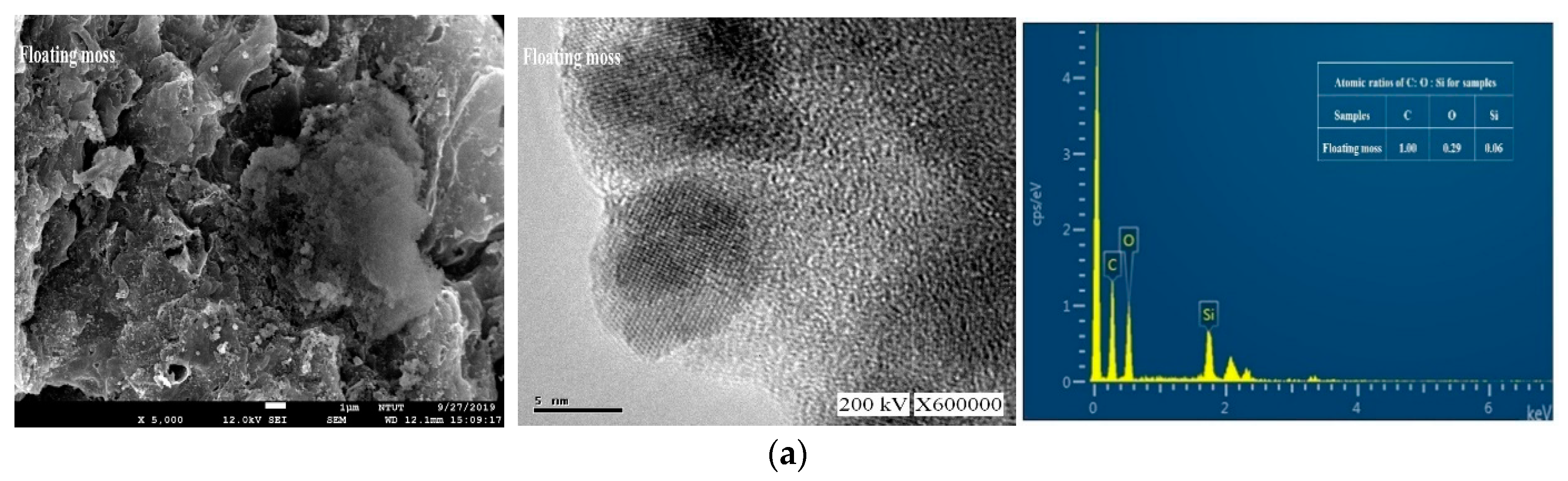 Processes 07 00794 g003a