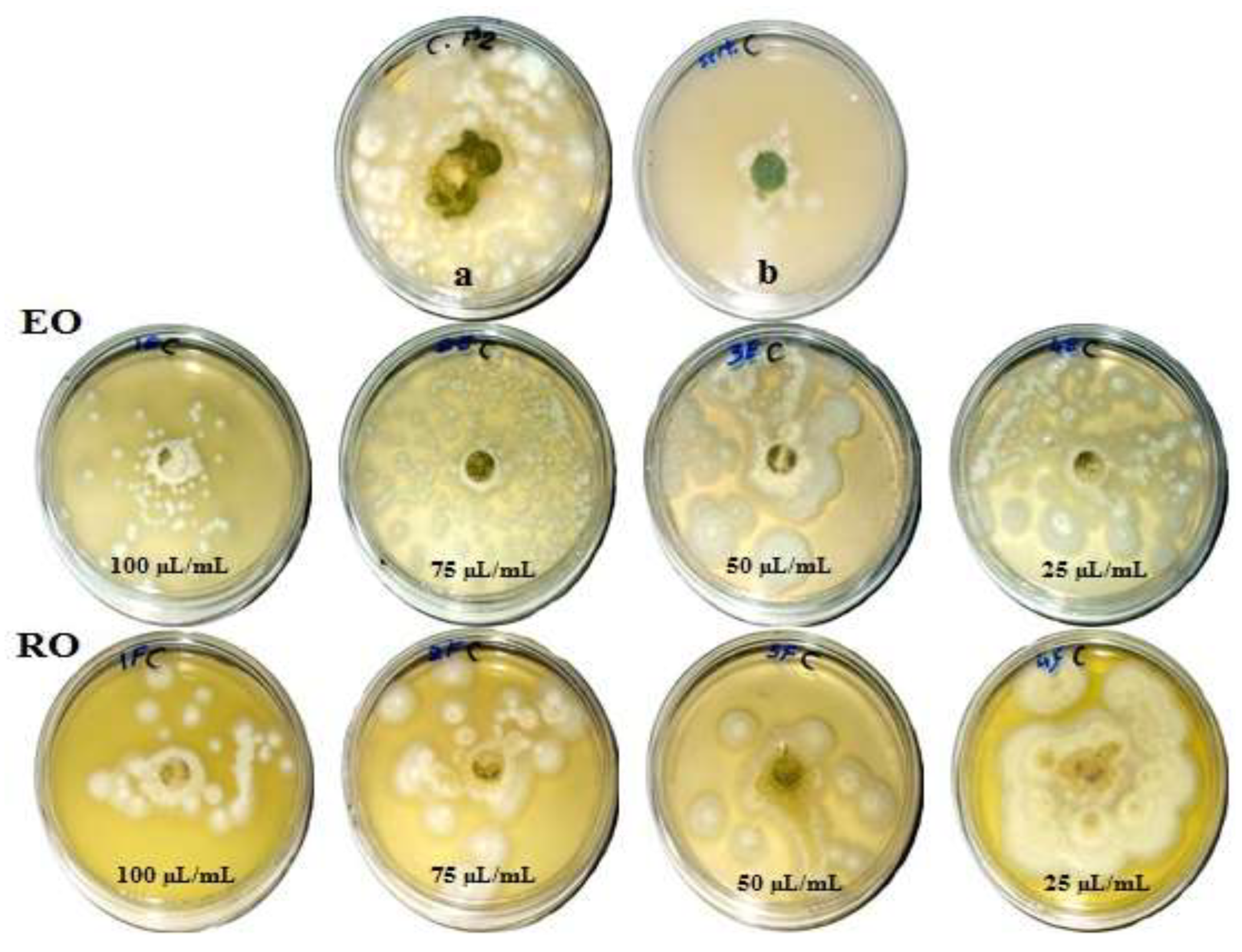 Processes 07 00809 g001