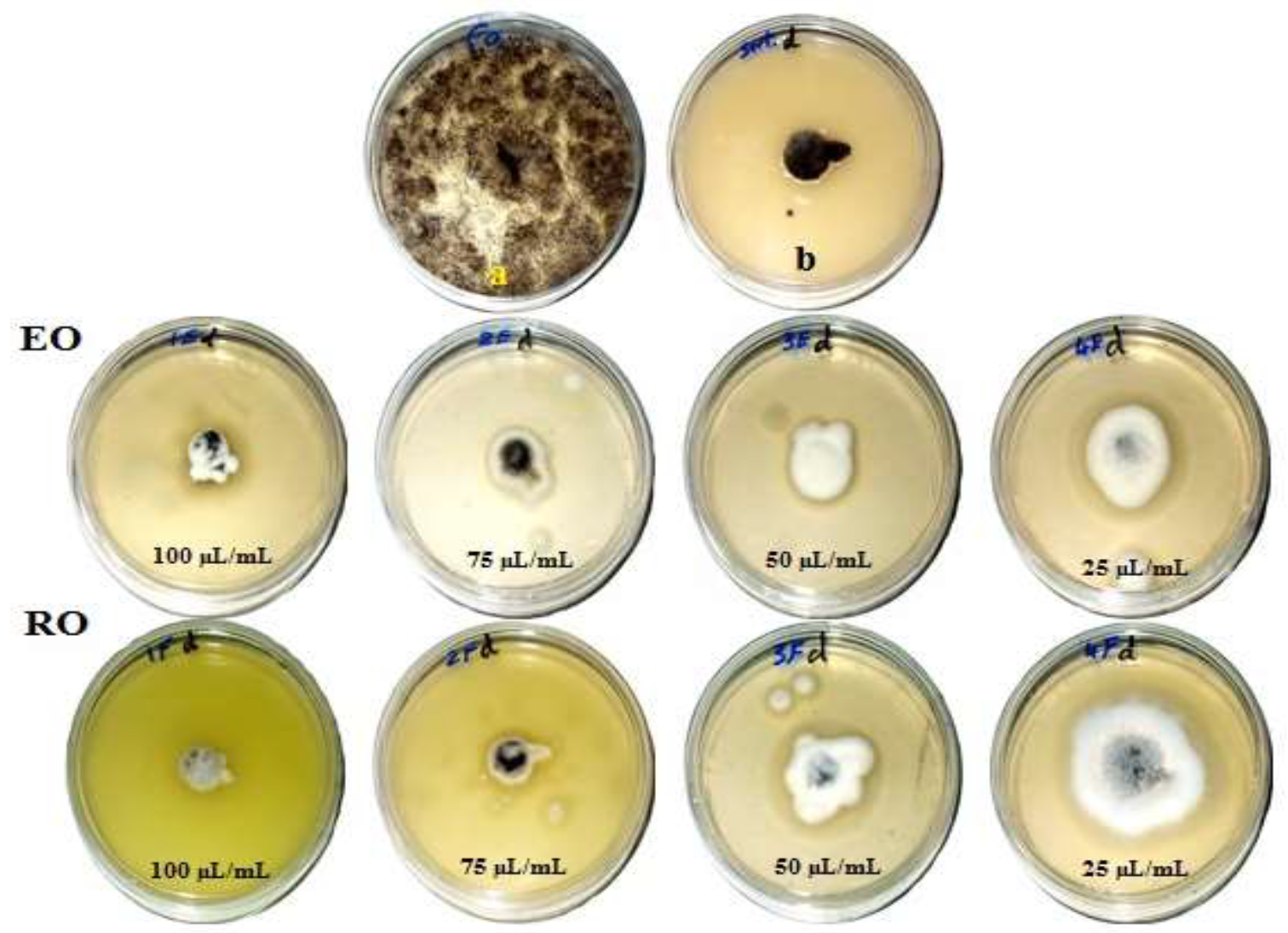 Processes 07 00809 g002