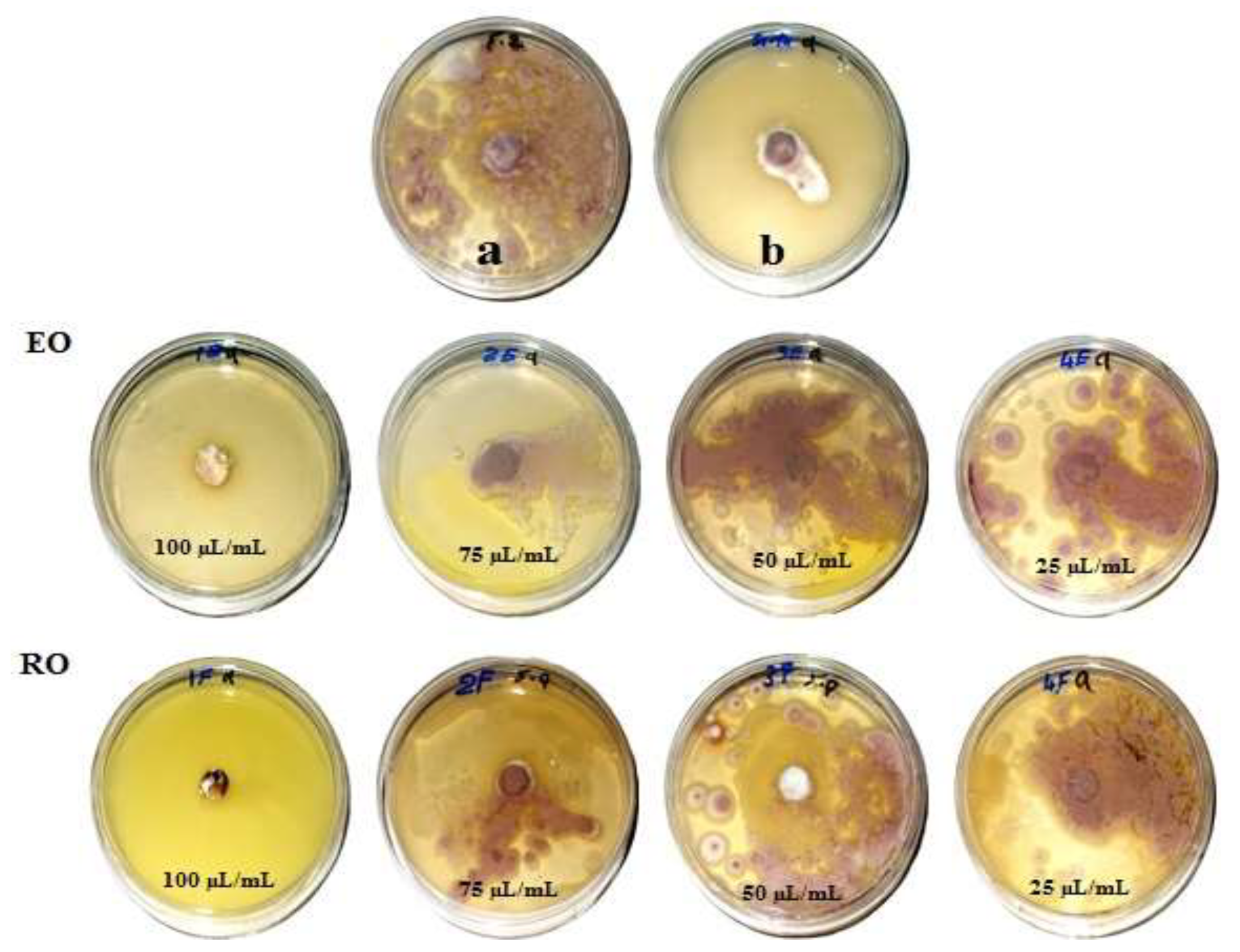 Processes 07 00809 g003