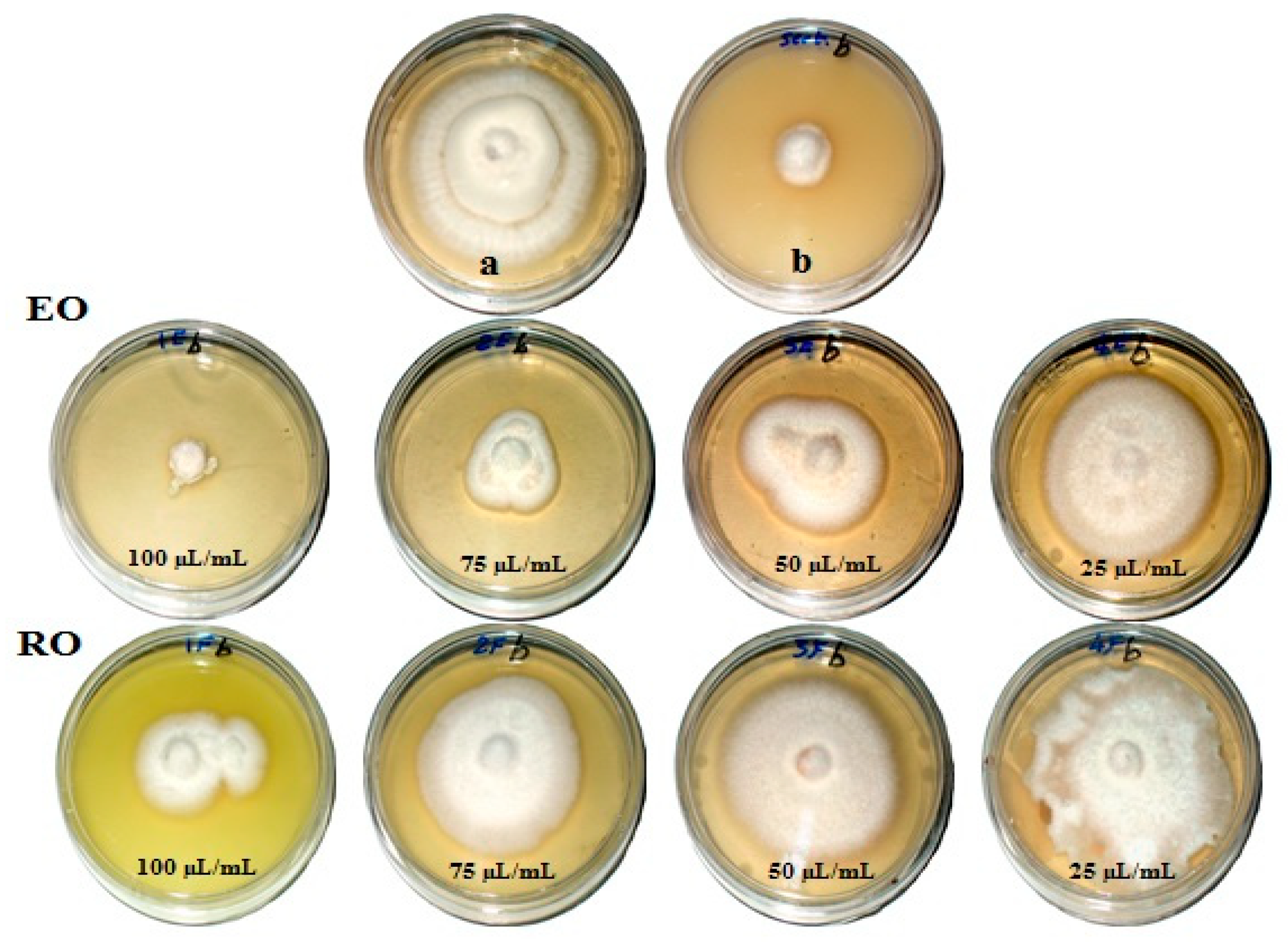 Processes 07 00809 g004