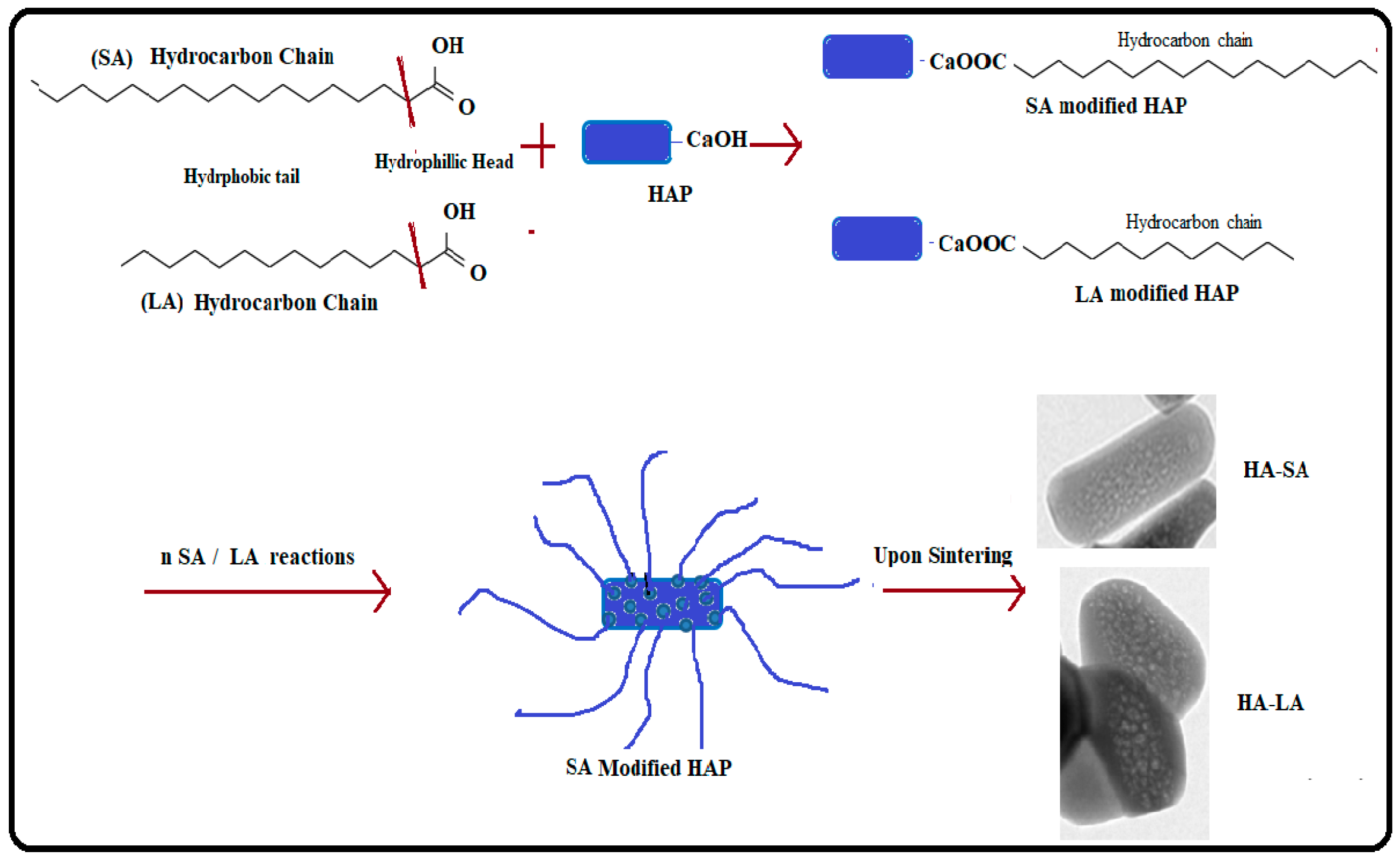Processes 07 00826 g006