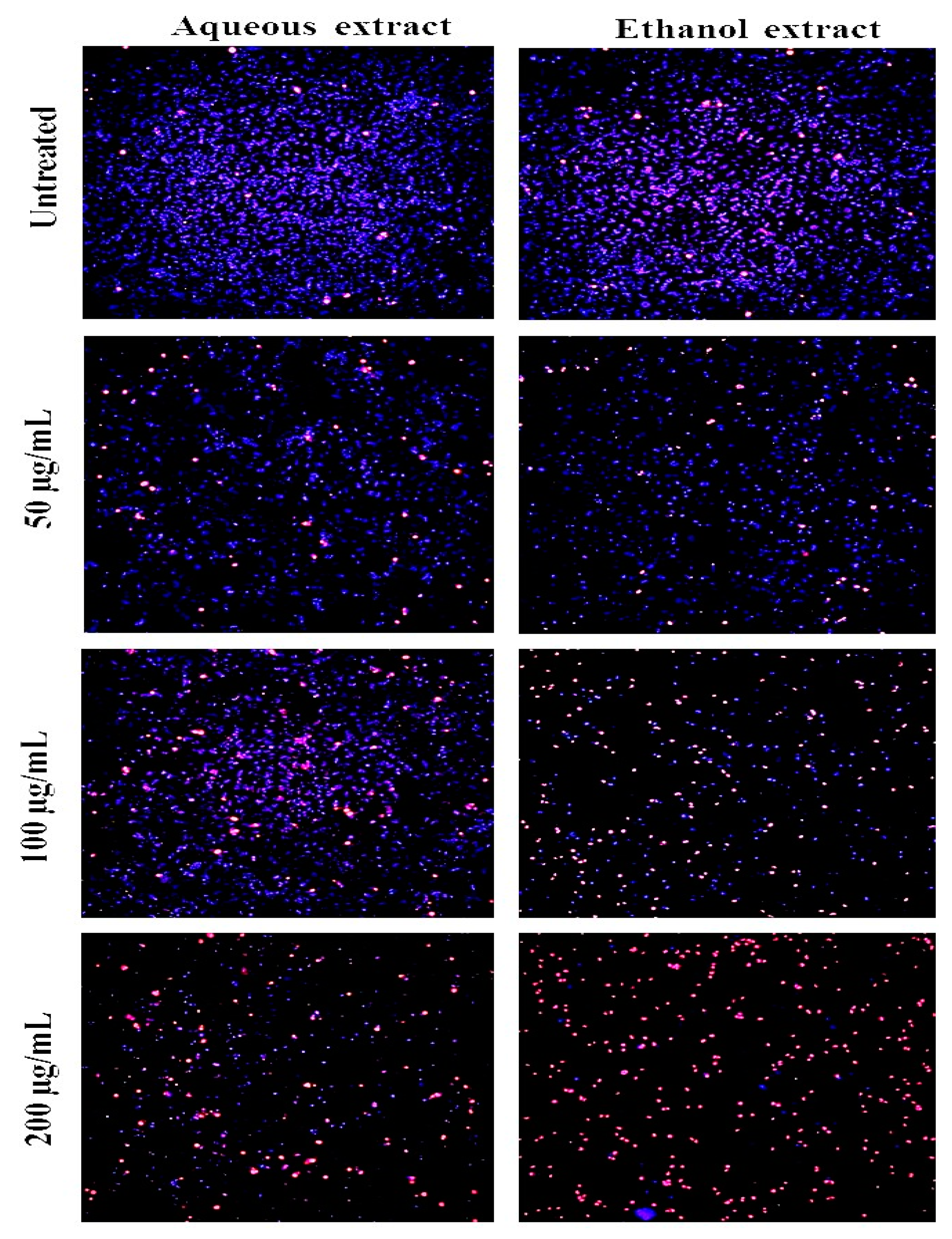 Processes 07 00841 g004 Processes 07 00841 g004