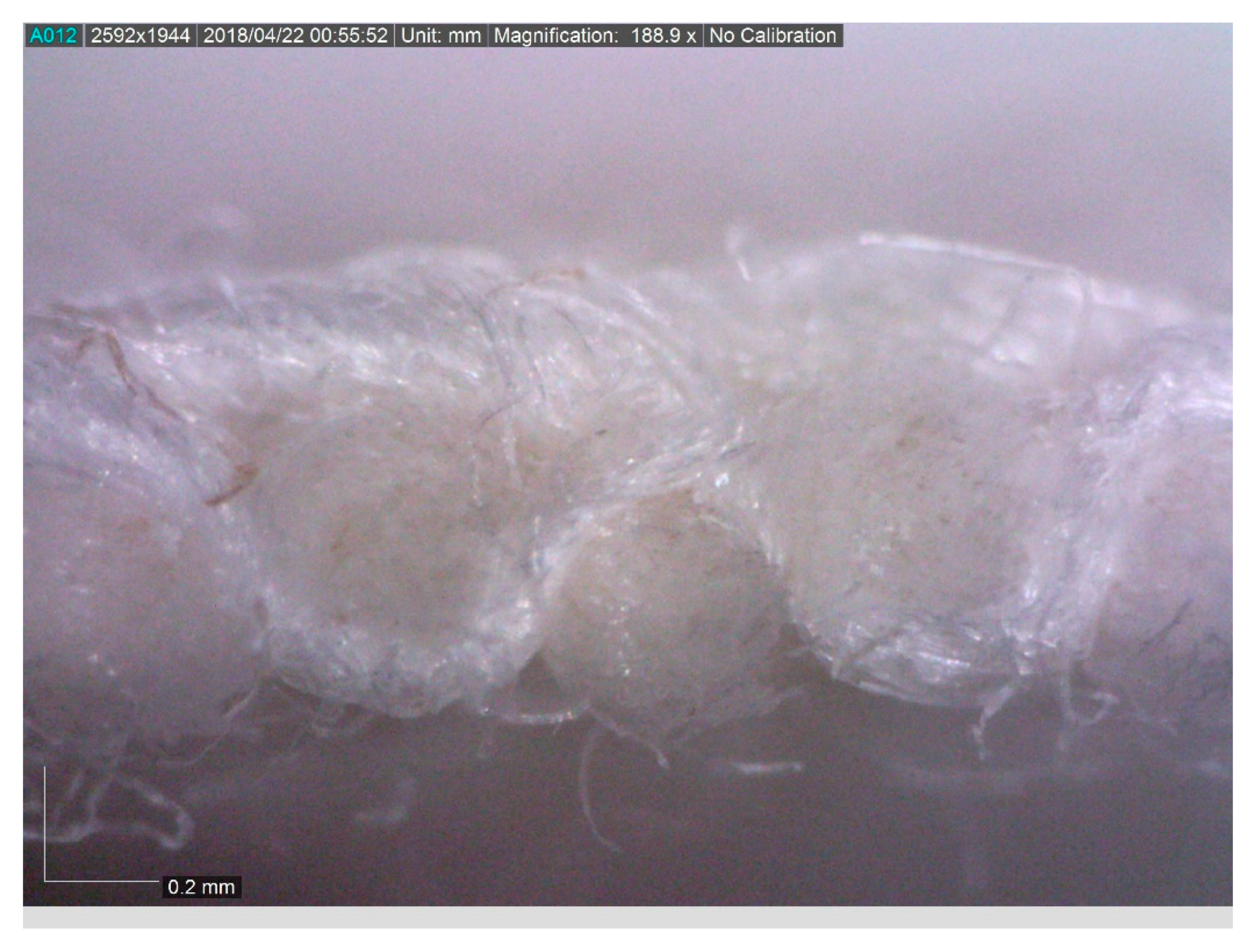 Processes 07 00901 g007