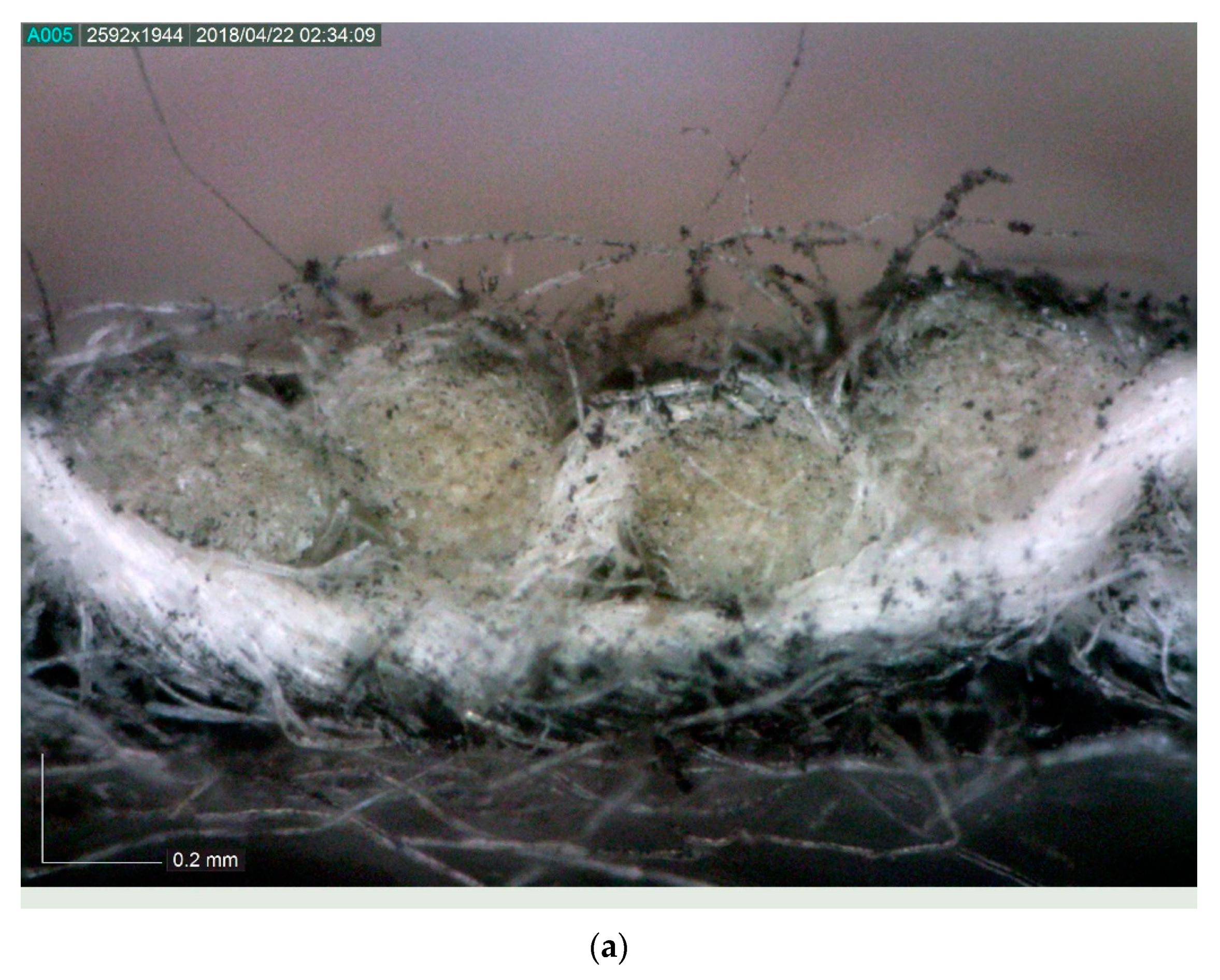 Processes 07 00901 g009a