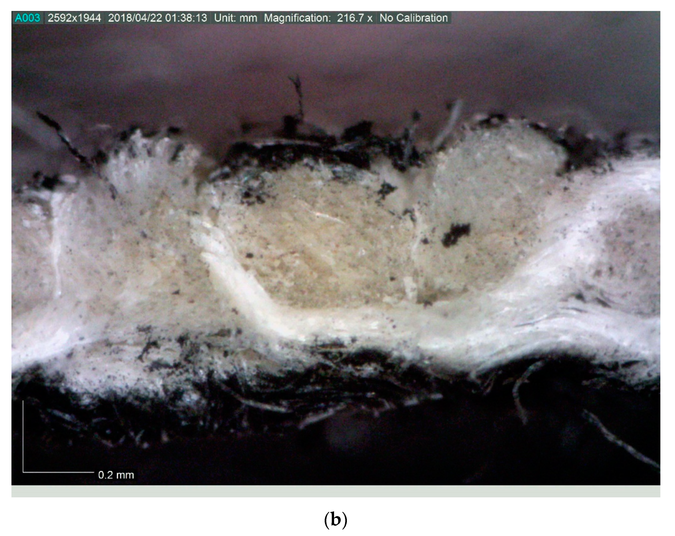 Processes 07 00901 g009b