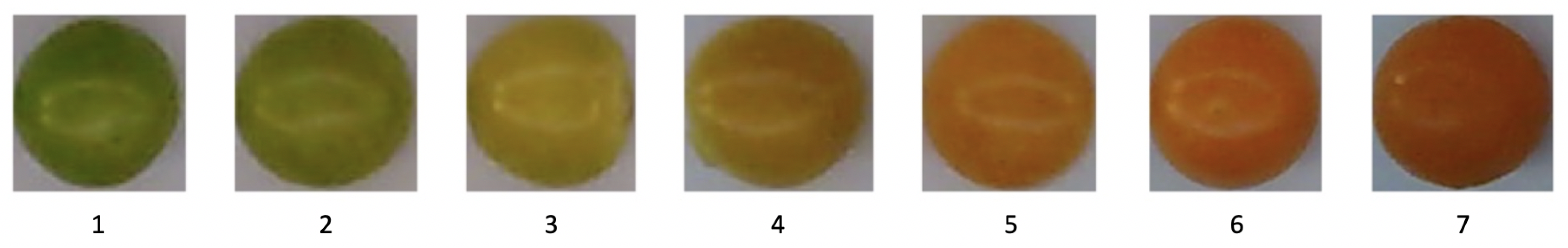 Processes 07 00928 g006 Processes 07 00928 g006