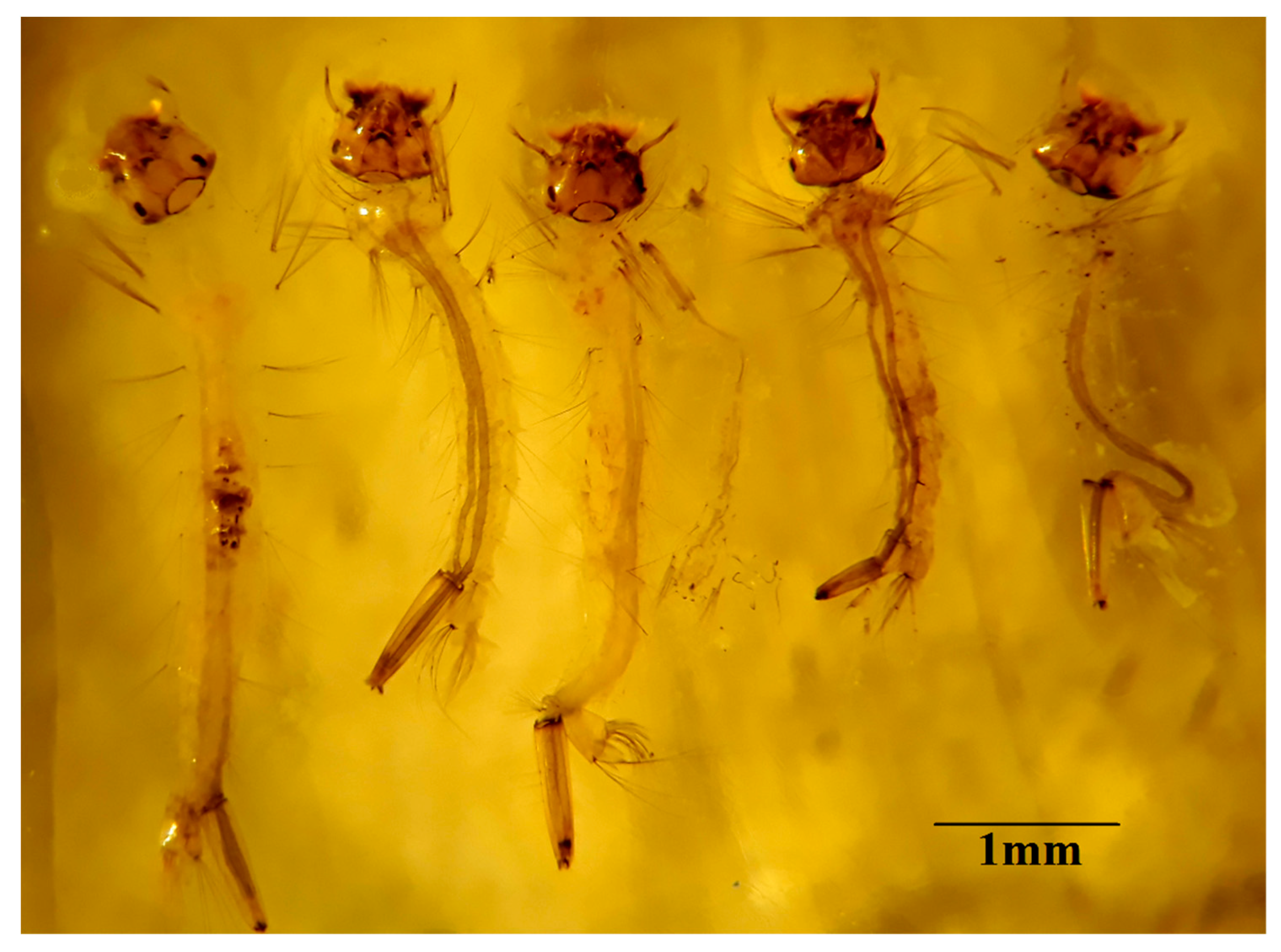 Processes 07 00933 g004