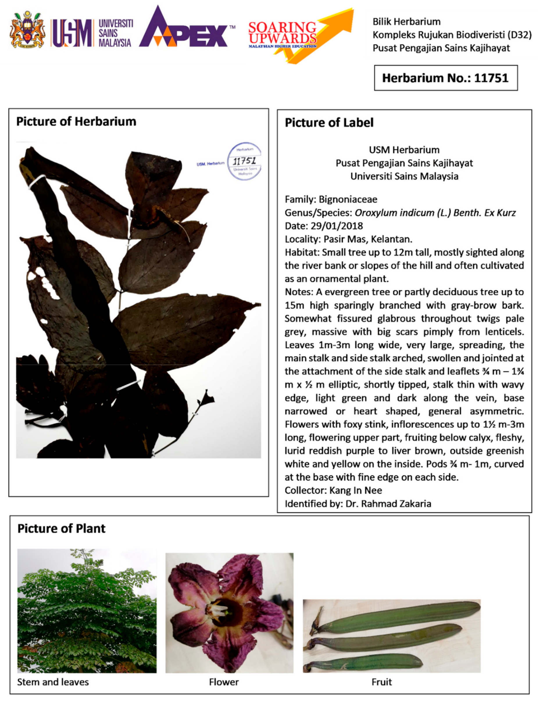 Processes 07 00963 i001 Processes 07 00963 i001