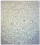 Processes 08 00040 i009 Processes 08 00040 i009