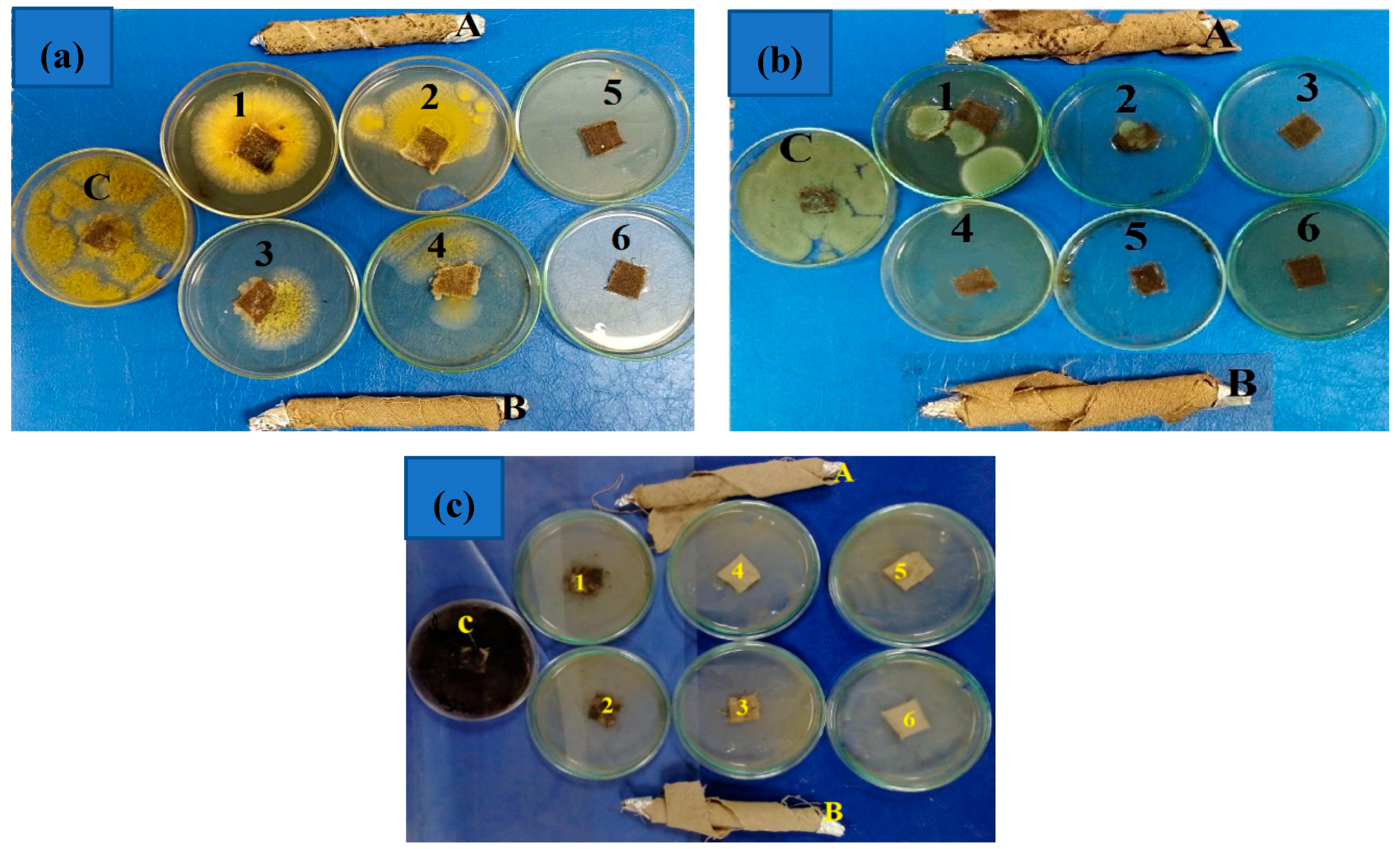 Processes 08 00079 g004 Processes 08 00079 g004