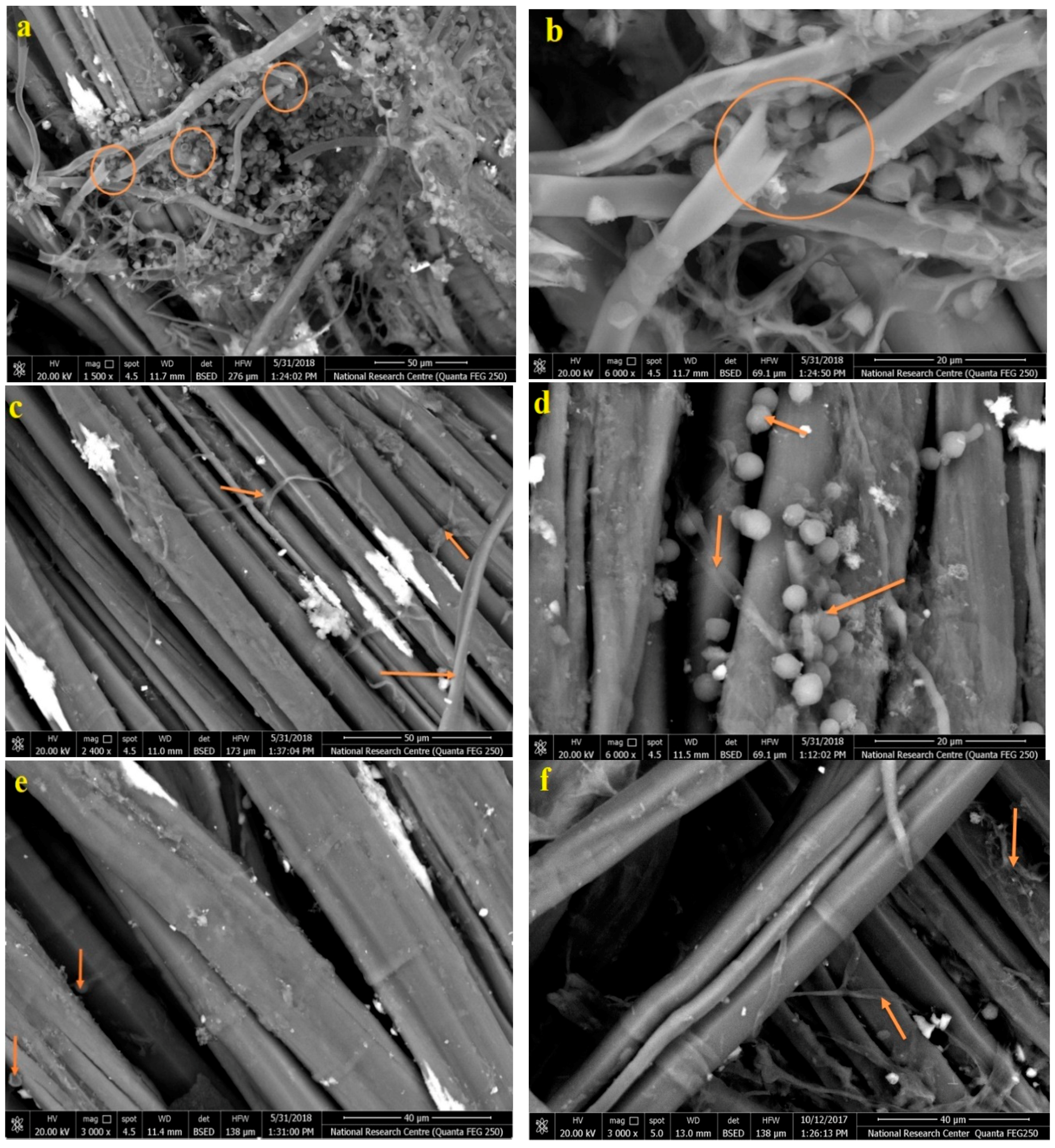 Processes 08 00079 g006 Processes 08 00079 g006