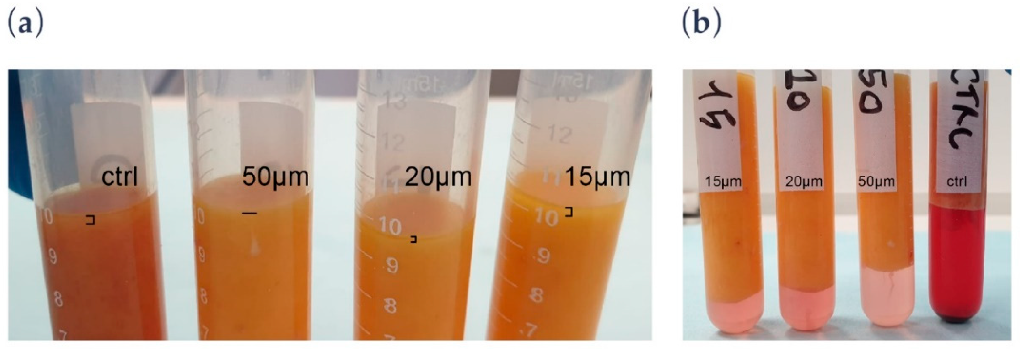 Processes 08 00088 g002
