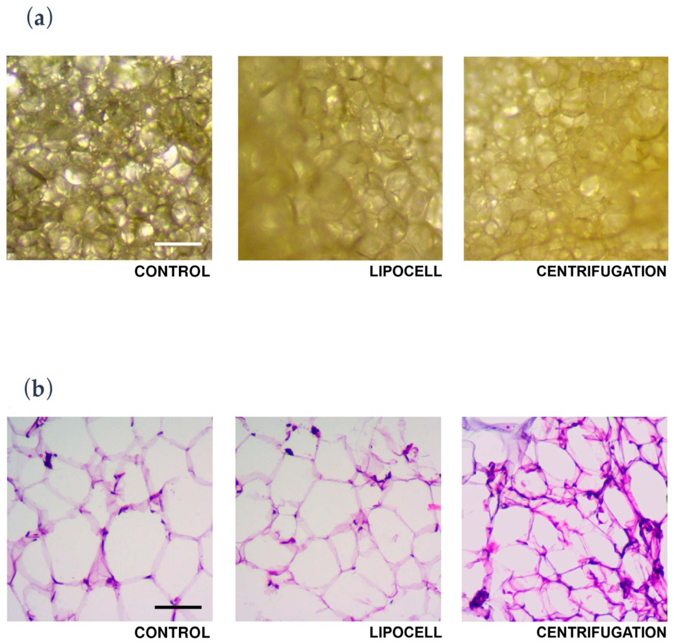 Processes 08 00088 g003