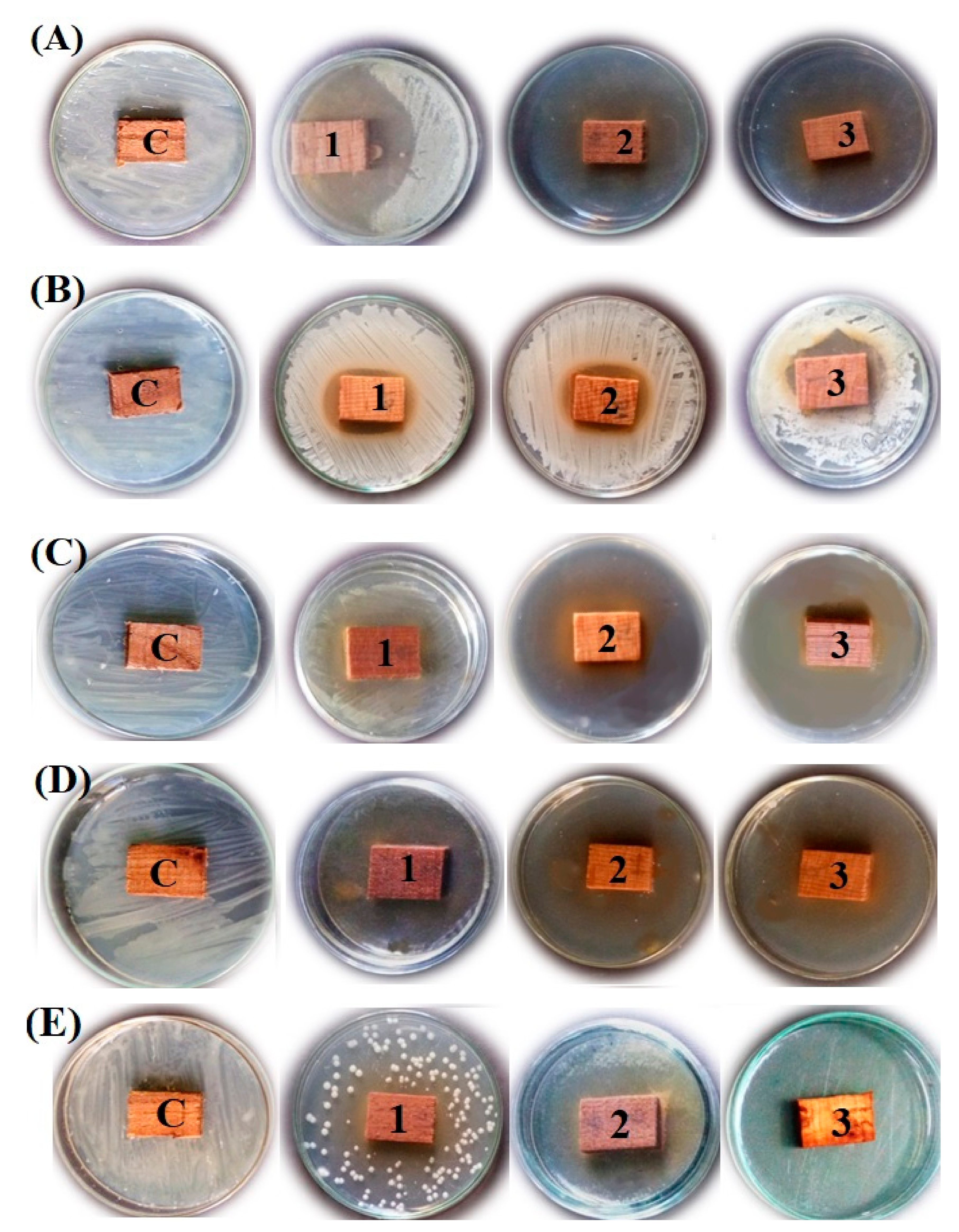 Processes 08 00113 g001