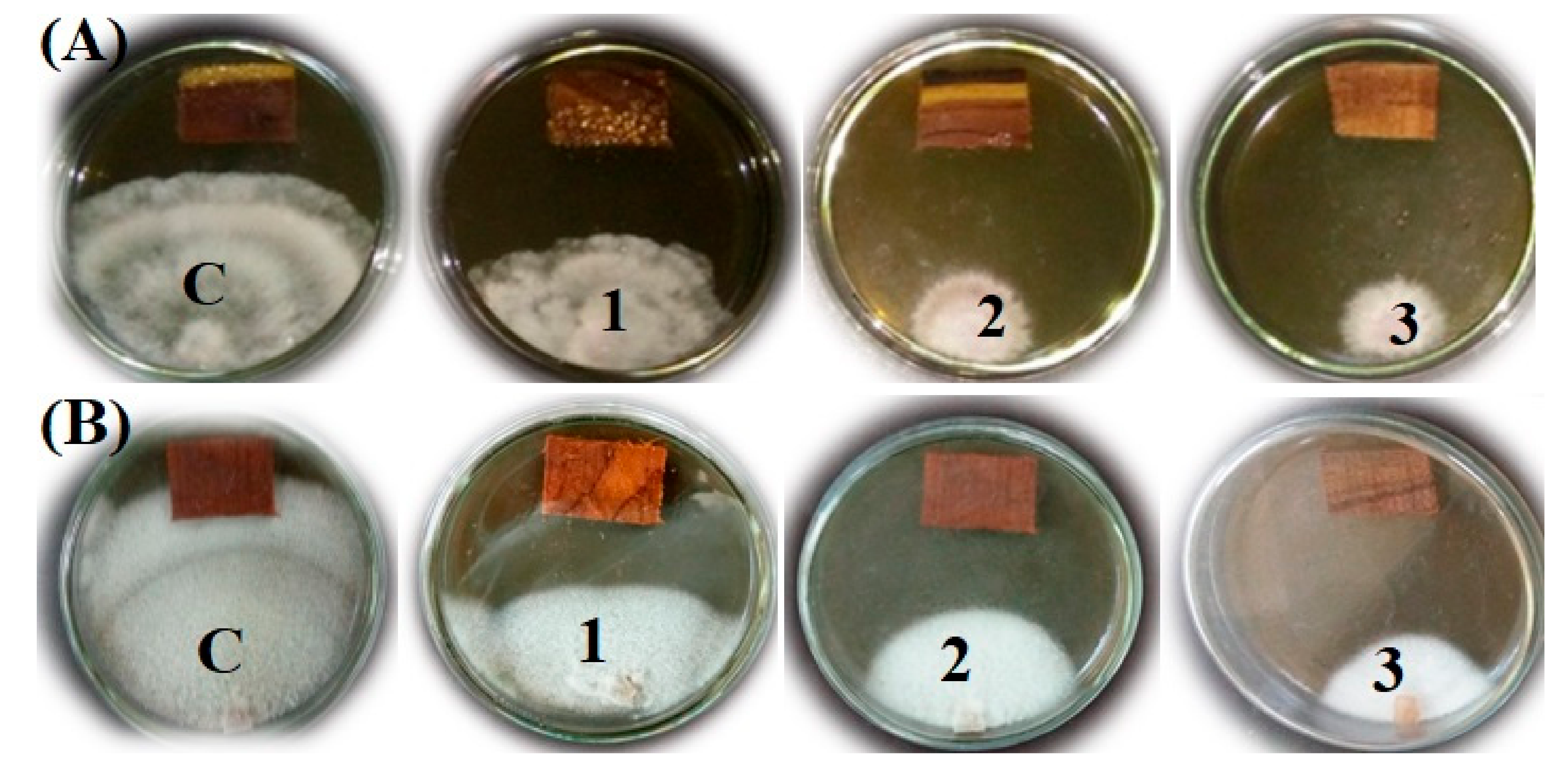 Processes 08 00113 g002