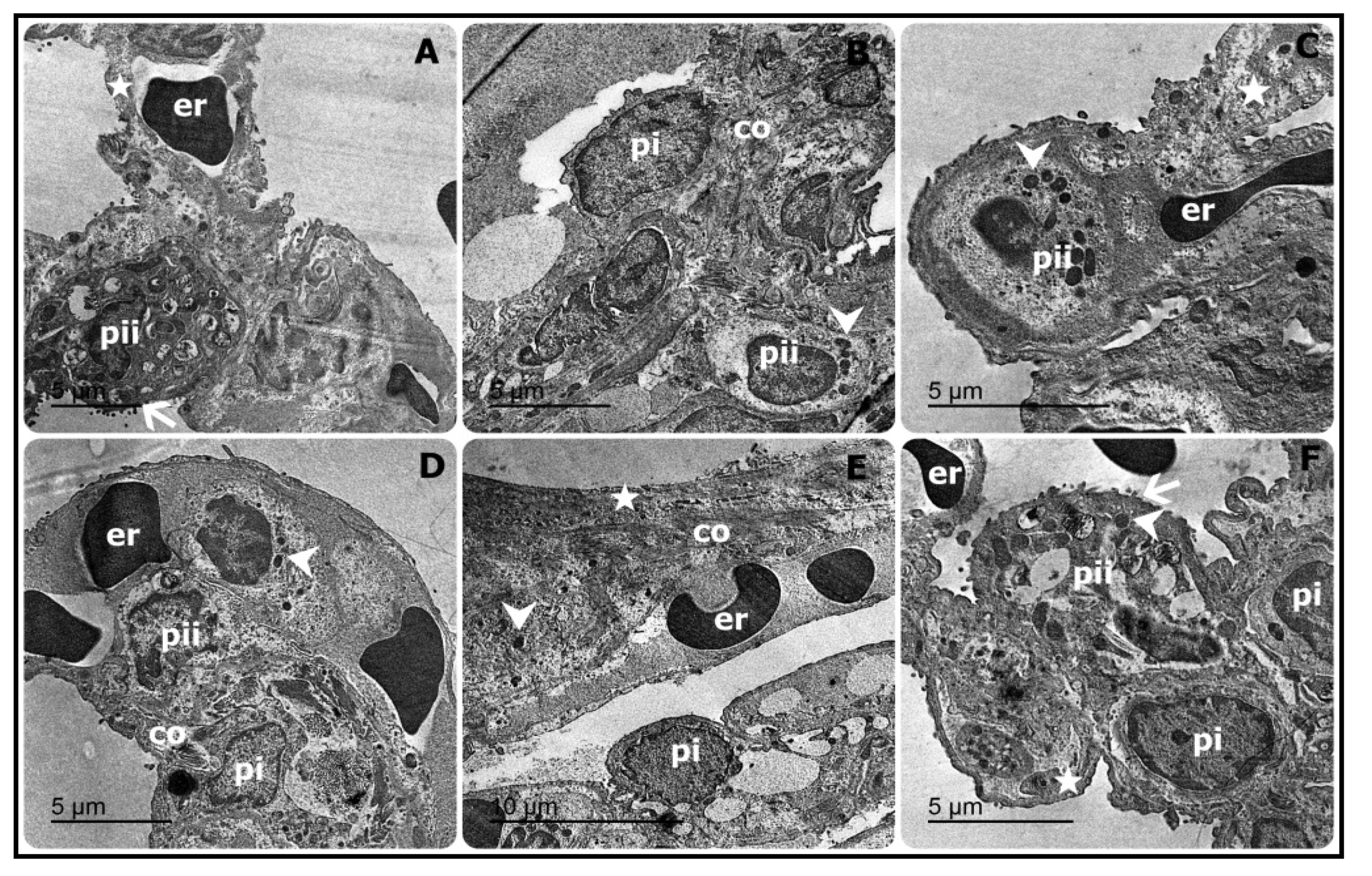 Processes 08 00127 g002