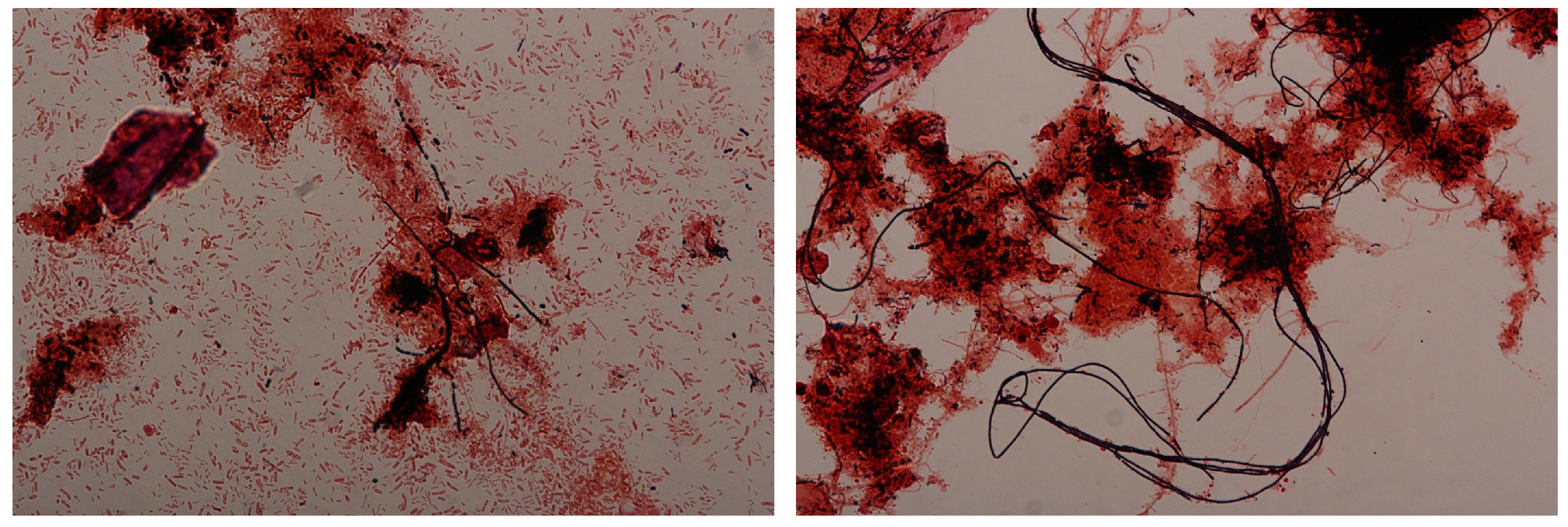 Processes 08 00131 g005