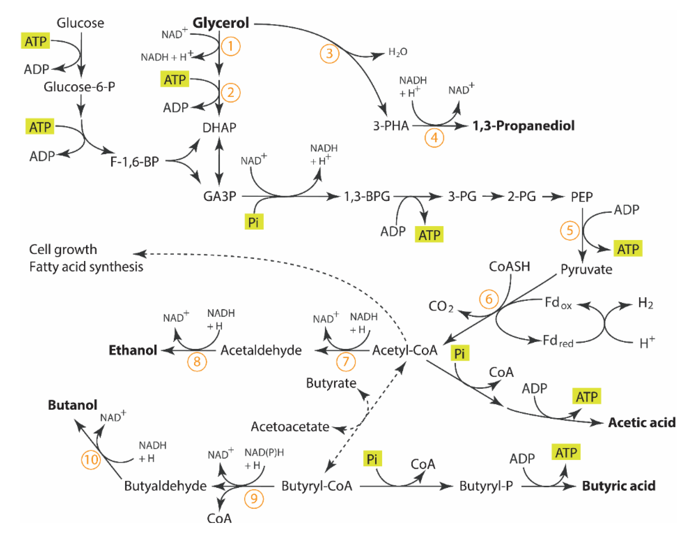 Processes 08 00137 g001