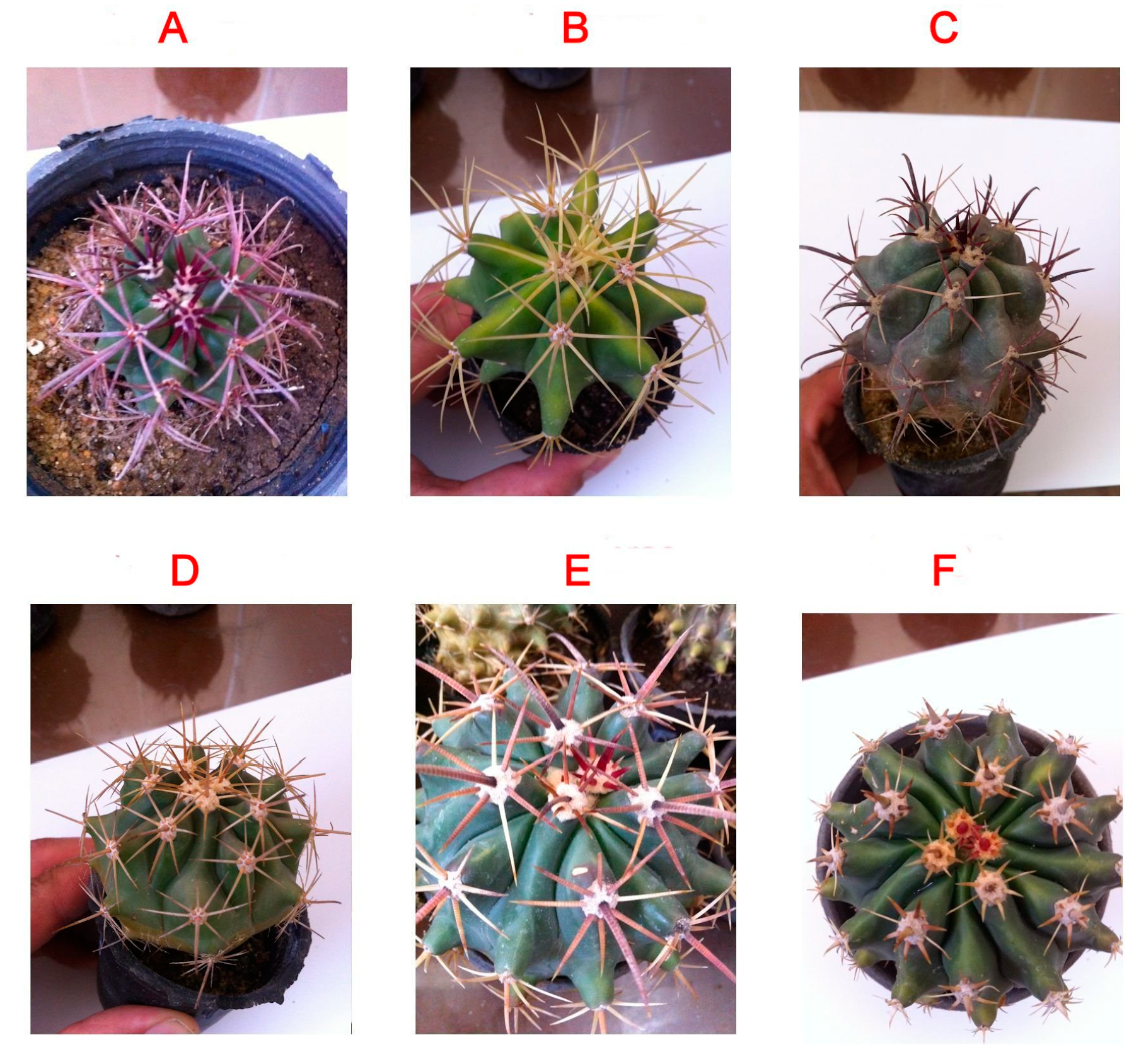 Processes 08 00138 g001