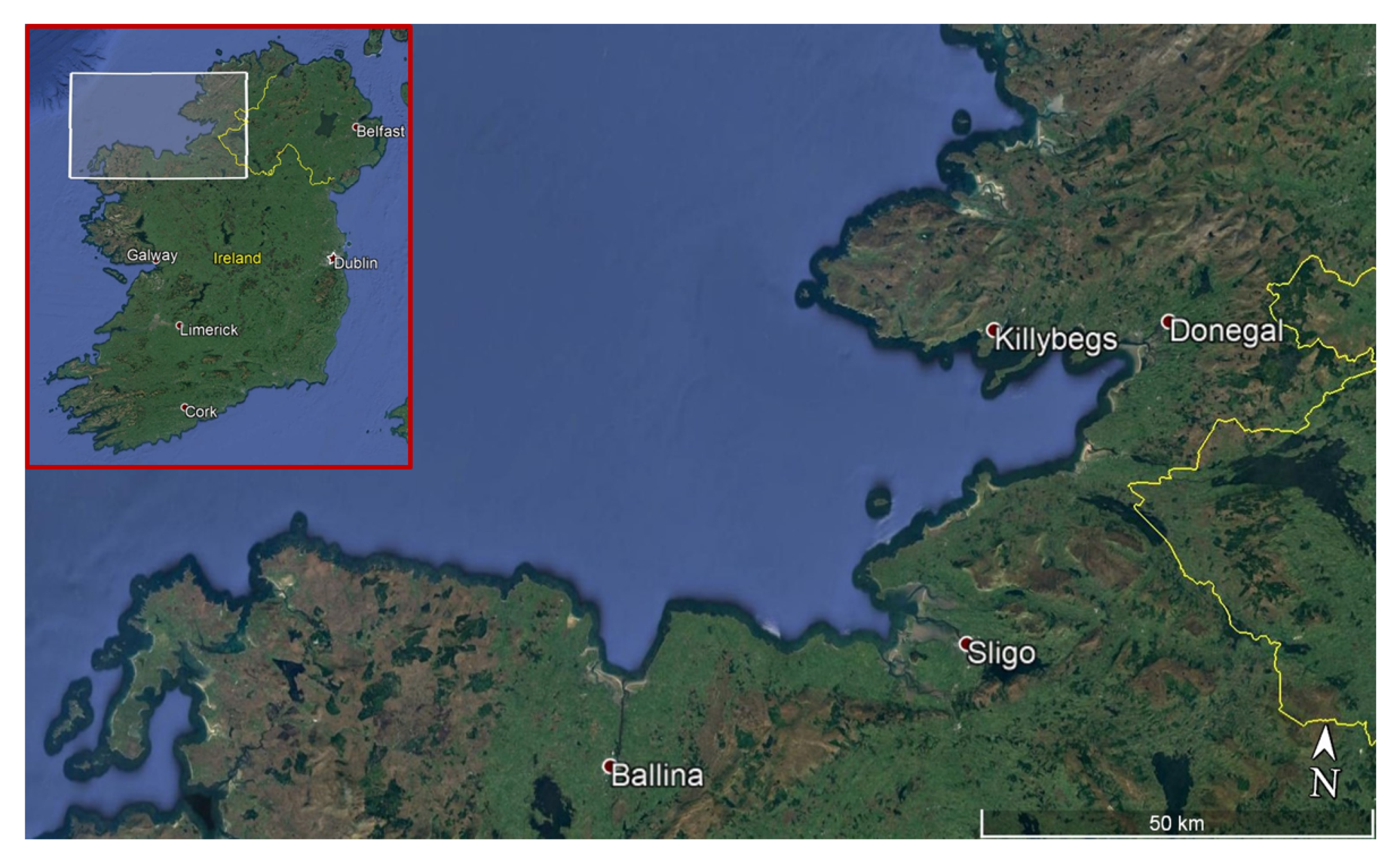 Processes 08 00139 g003