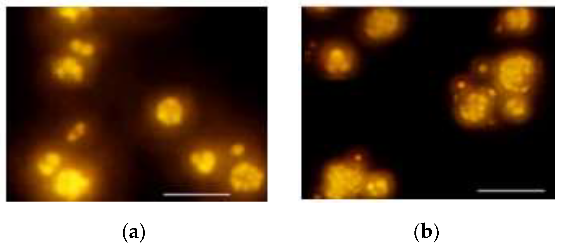 Processes 08 00140 g001a