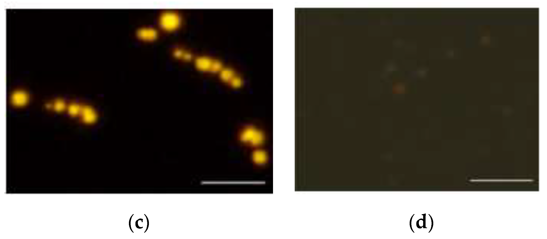 Processes 08 00140 g001b